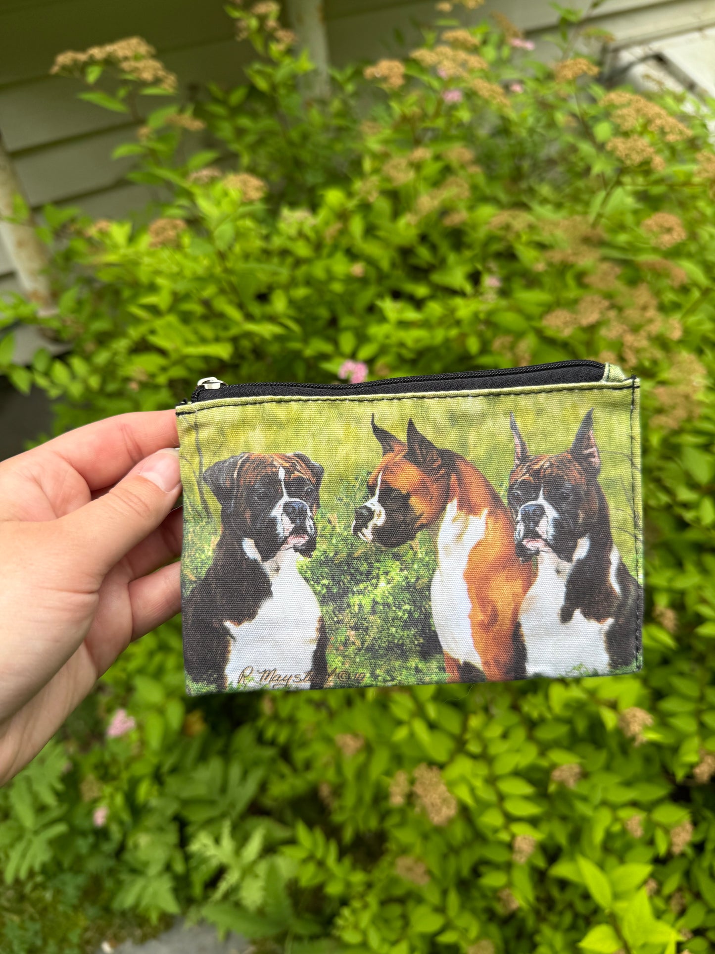 Boxer Coin Purse