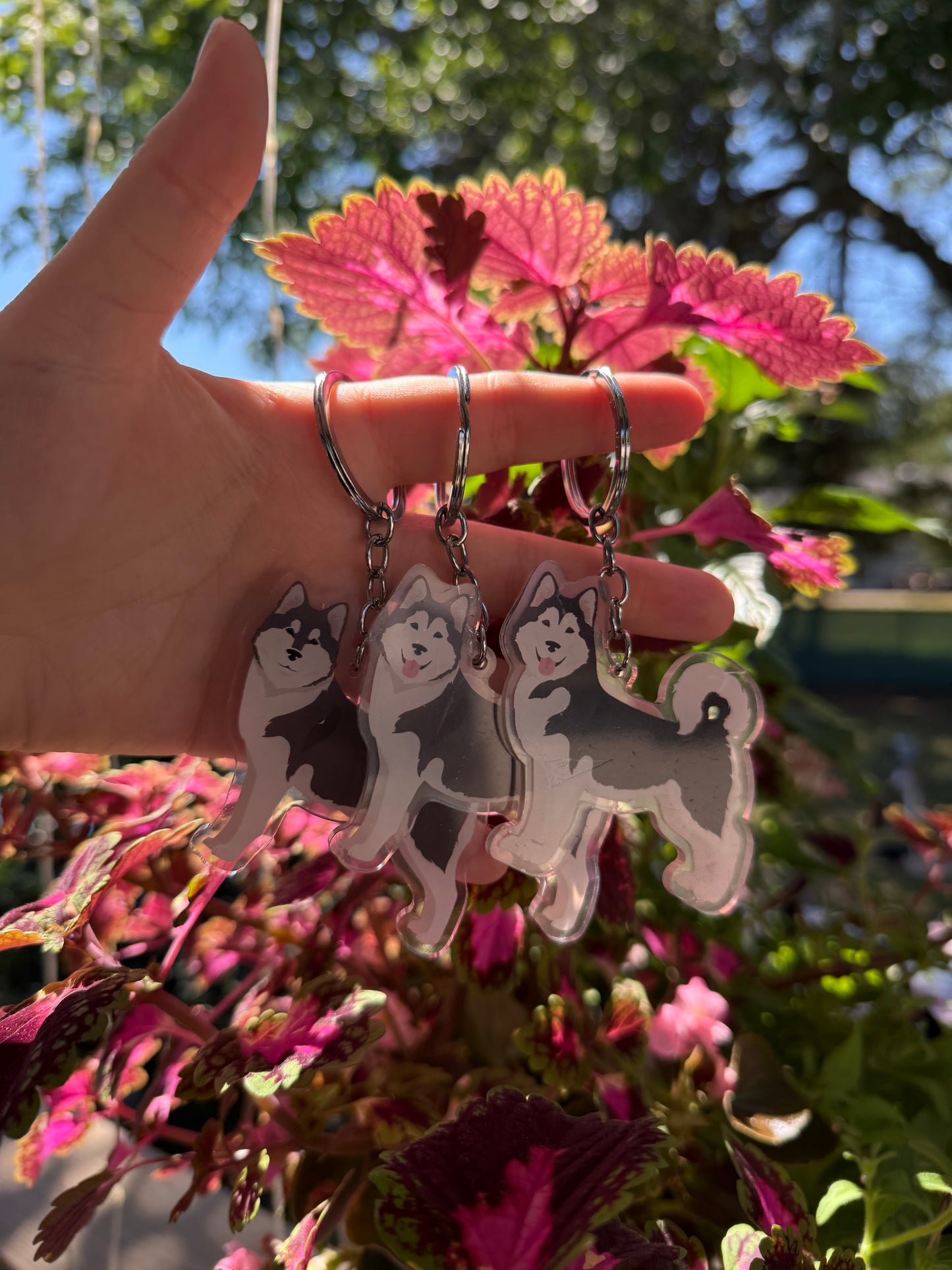 Alaskan Malamute Dog 2.5in Acrylic Keychain