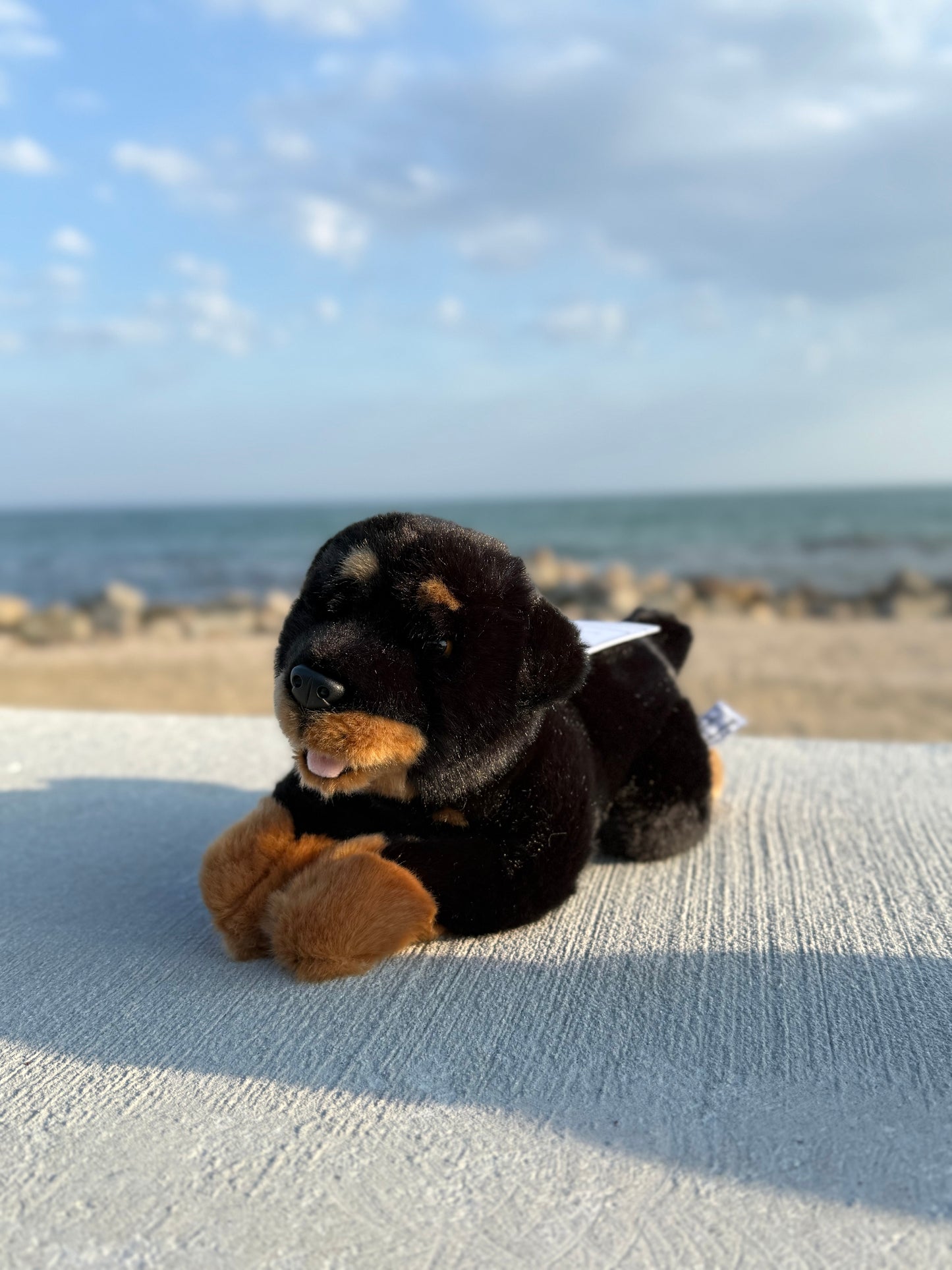 Bocchetta Rottweiler Dog Plush 28cm