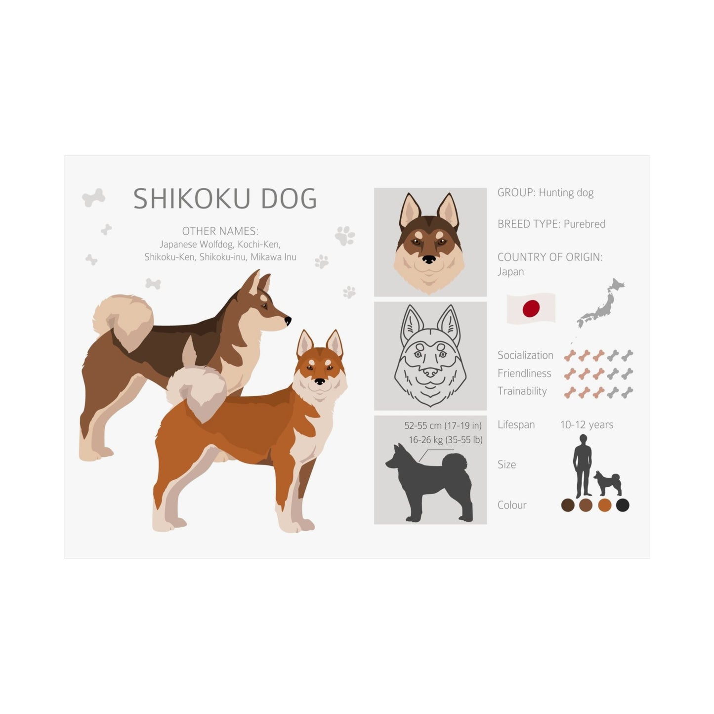 Shikoku Ken Dog Matte Horizontal Posters 16X11