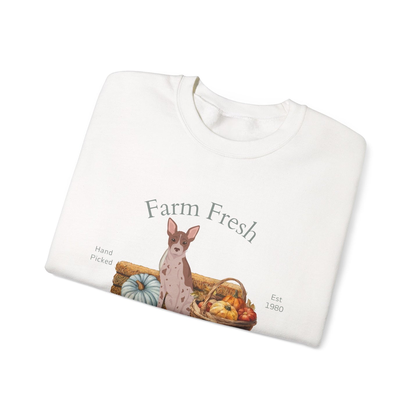 American Hairless Terrier Dog Fall Farm Fresh Unisex Heavy Blend Crewneck Sweatshirt
