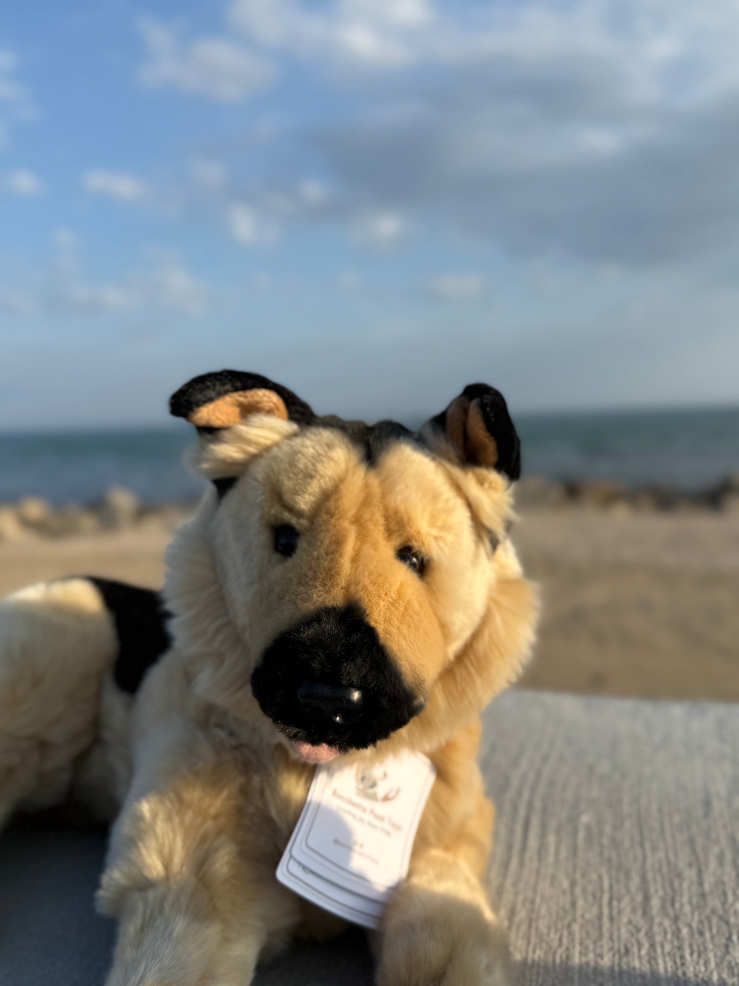 Bocchetta German Shepherd Dog Plush 40cm