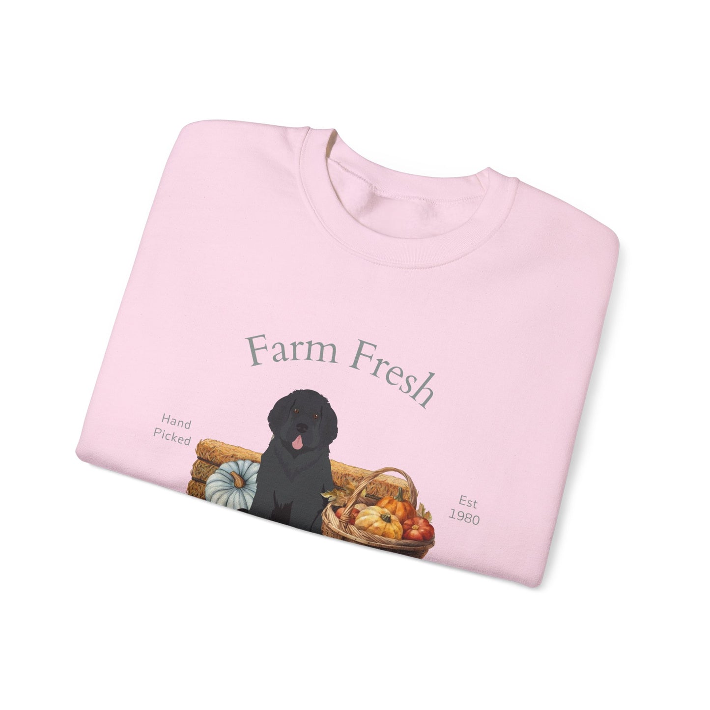 Newfoundland Dog Fall Farm Fresh Unisex Heavy Blend Crewneck Sweatshirt