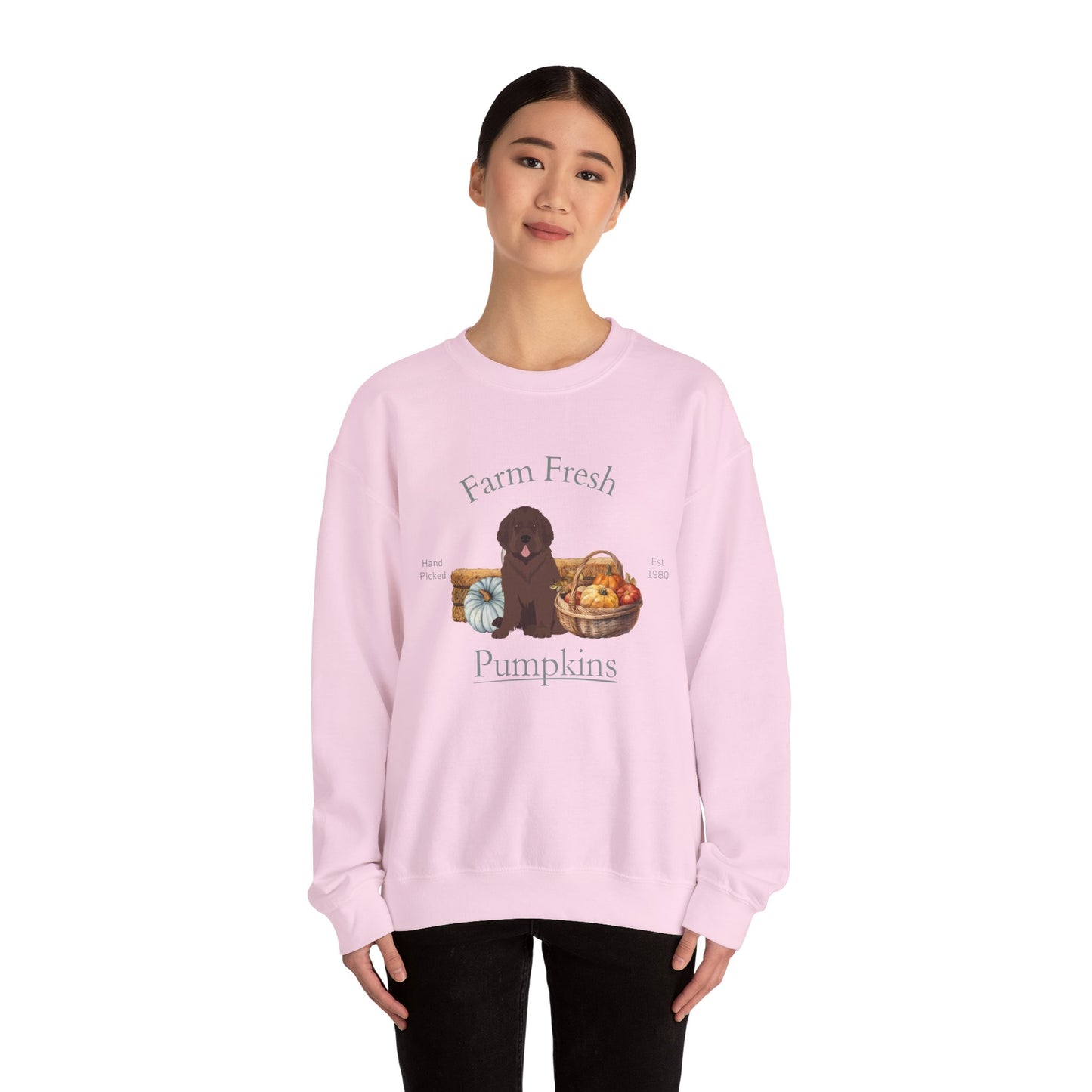 Newfoundland Dog Fall Farm Fresh Unisex Heavy Blend Crewneck Sweatshirt