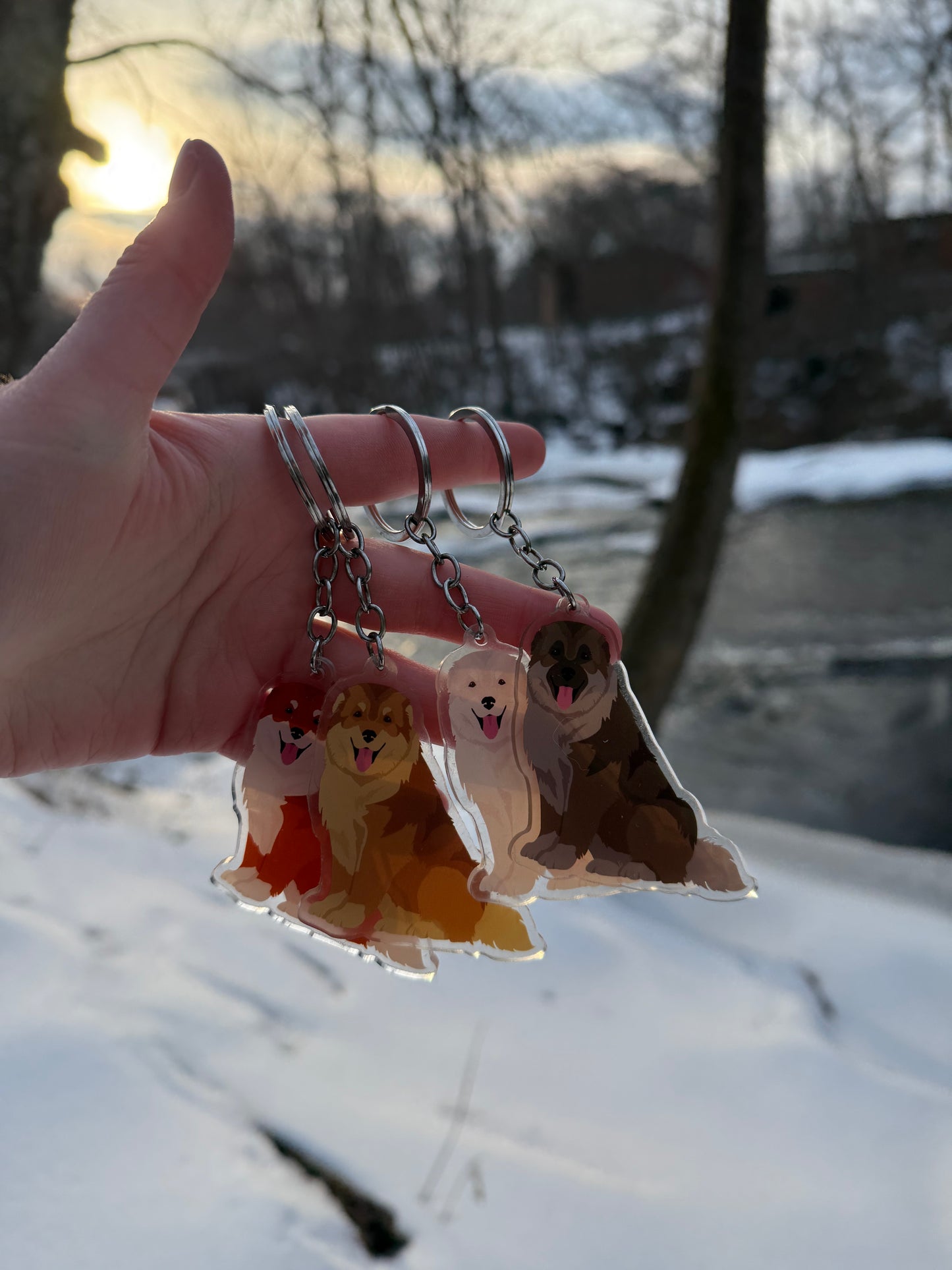 Caucasian Shepherd Dog 2.5in Acrylic Keychain