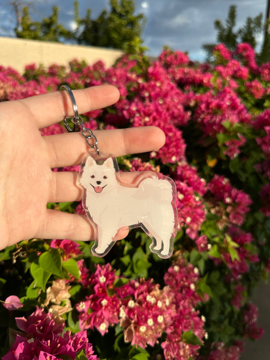 American Eskimo Dog 2.5in Acrylic Keychain