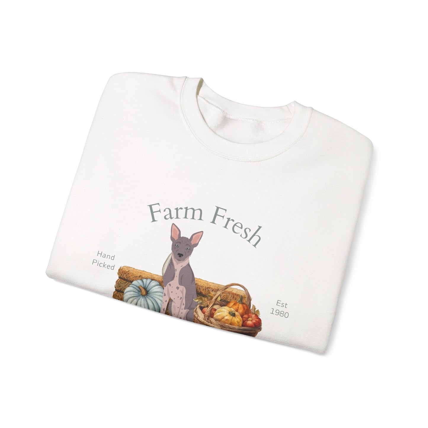 American Hairless Terrier Dog Fall Farm Fresh Unisex Heavy Blend Crewneck Sweatshirt