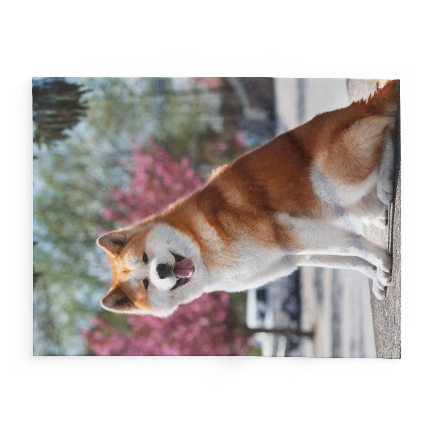 Japanese Akita Arctic Fleece Blanket - Cozy Decor for Spring Celebrations