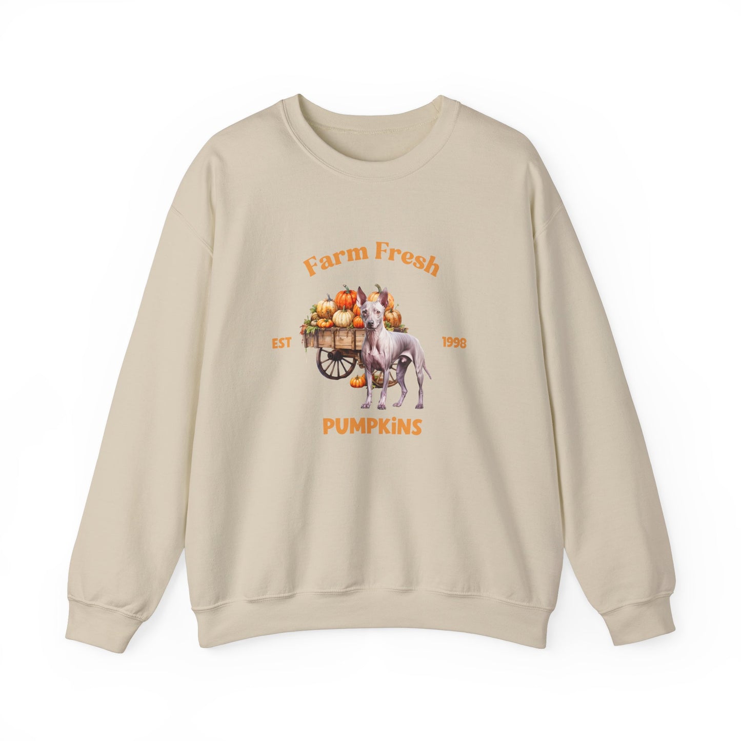American Hairless Terrier Dog Fall Unisex Heavy Blend Crewneck Sweatshirt