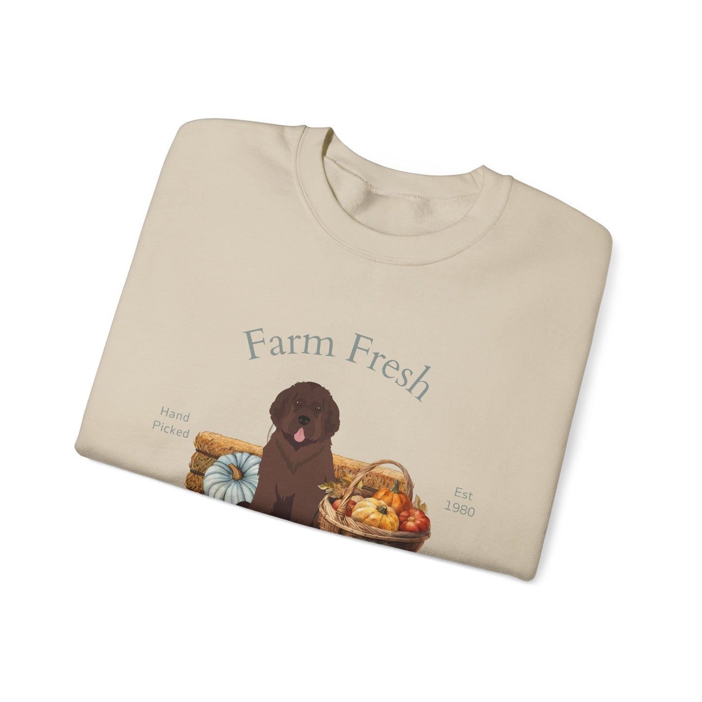 Newfoundland Dog Fall Farm Fresh Unisex Heavy Blend Crewneck Sweatshirt