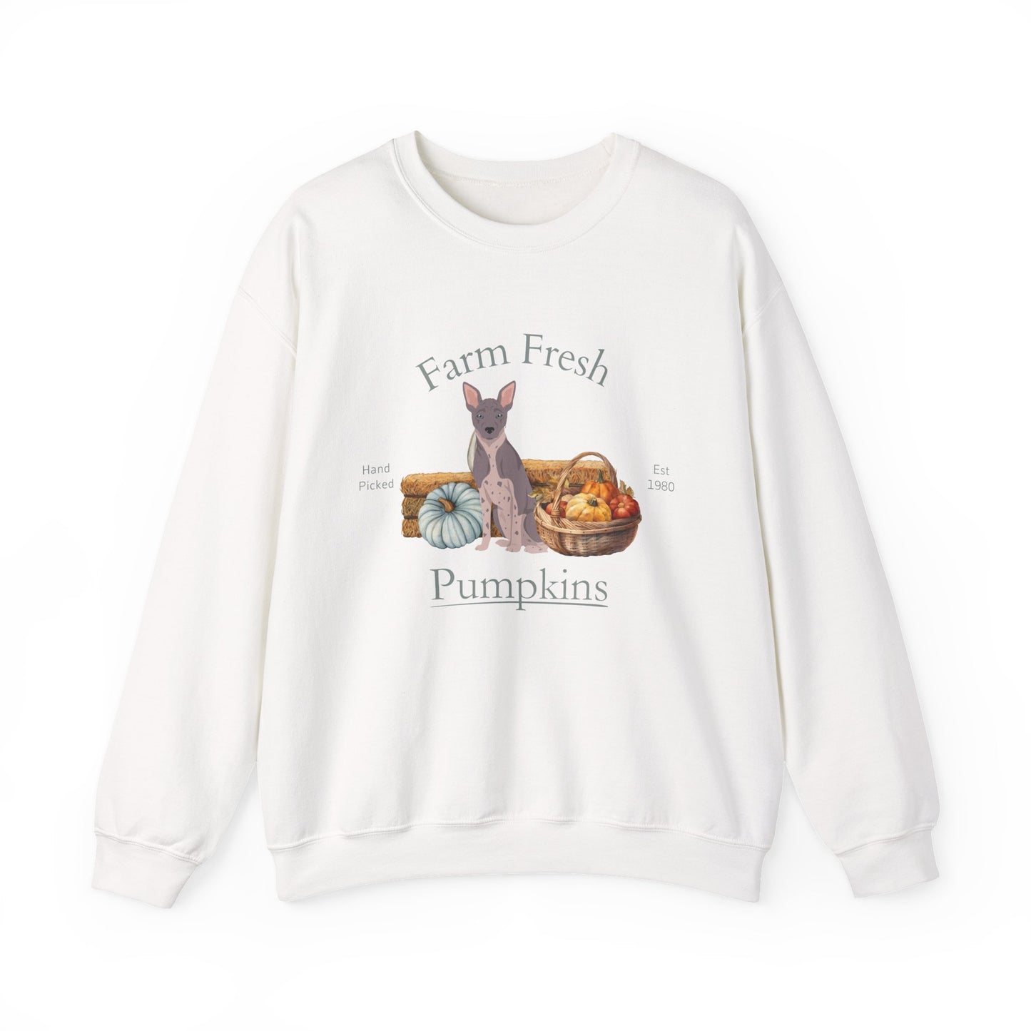 American Hairless Terrier Dog Fall Farm Fresh Unisex Heavy Blend Crewneck Sweatshirt