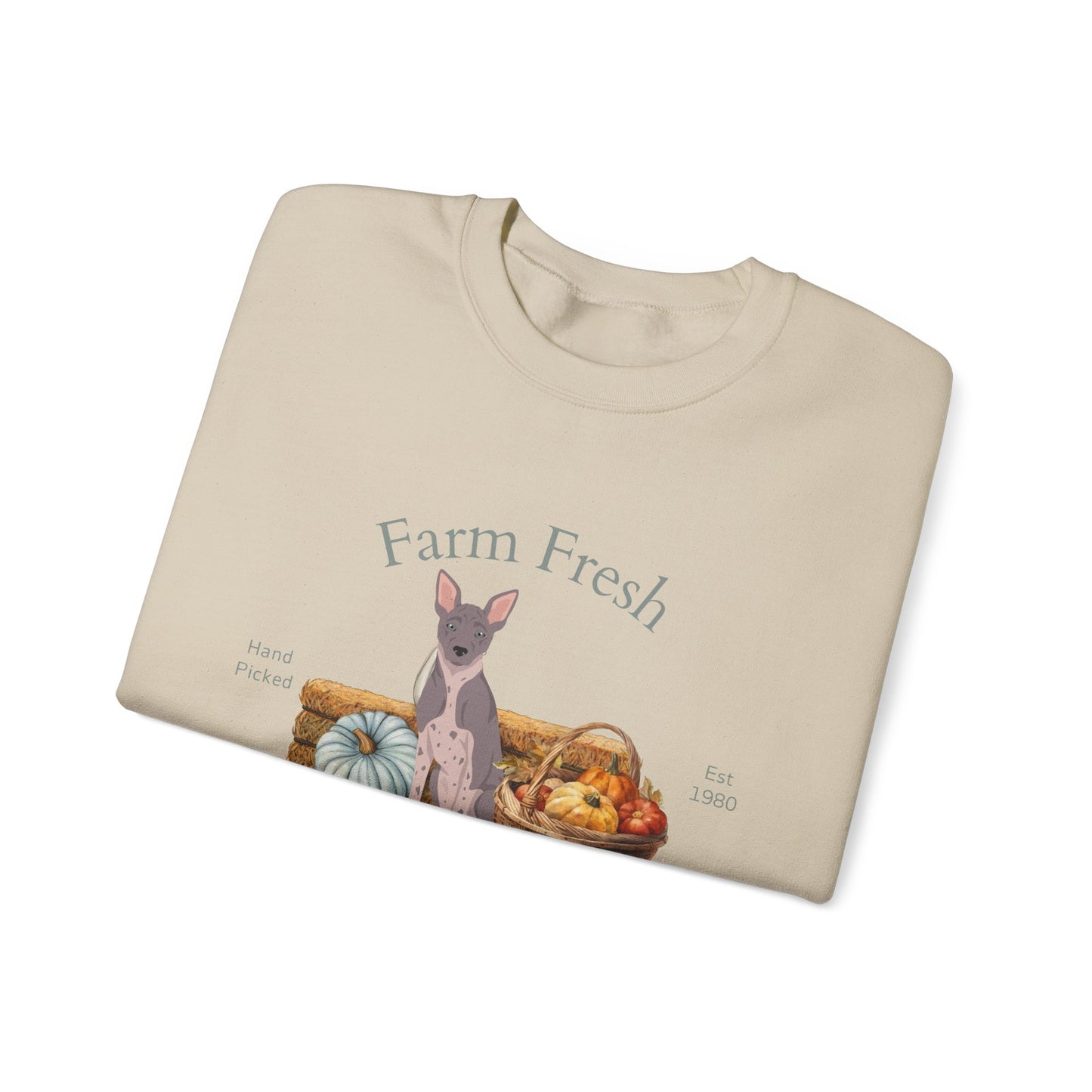 American Hairless Terrier Dog Fall Farm Fresh Unisex Heavy Blend Crewneck Sweatshirt
