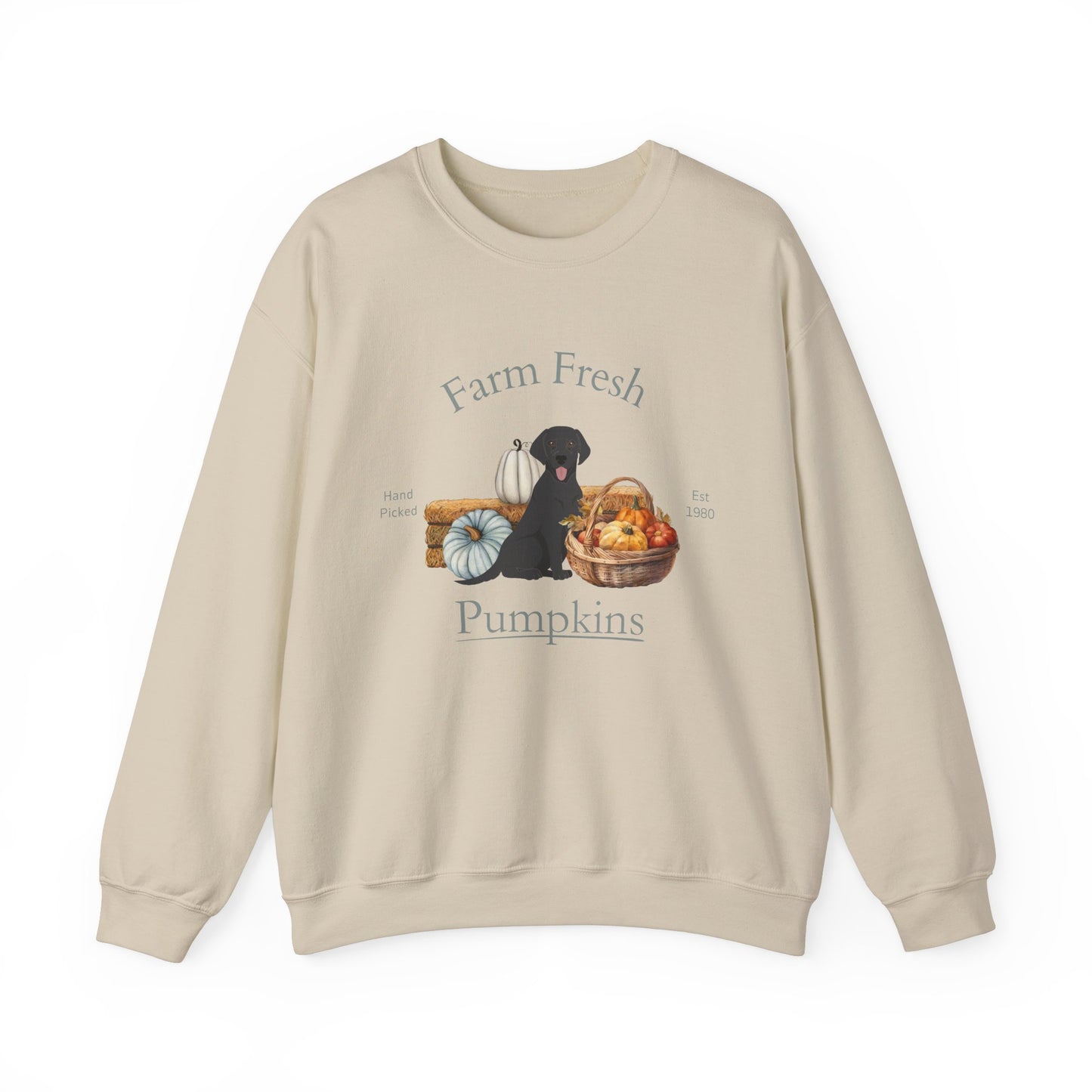 Black Labrador Retriever Dog Fall Halloween Unisex Heavy Blend Crewneck Sweatshirt