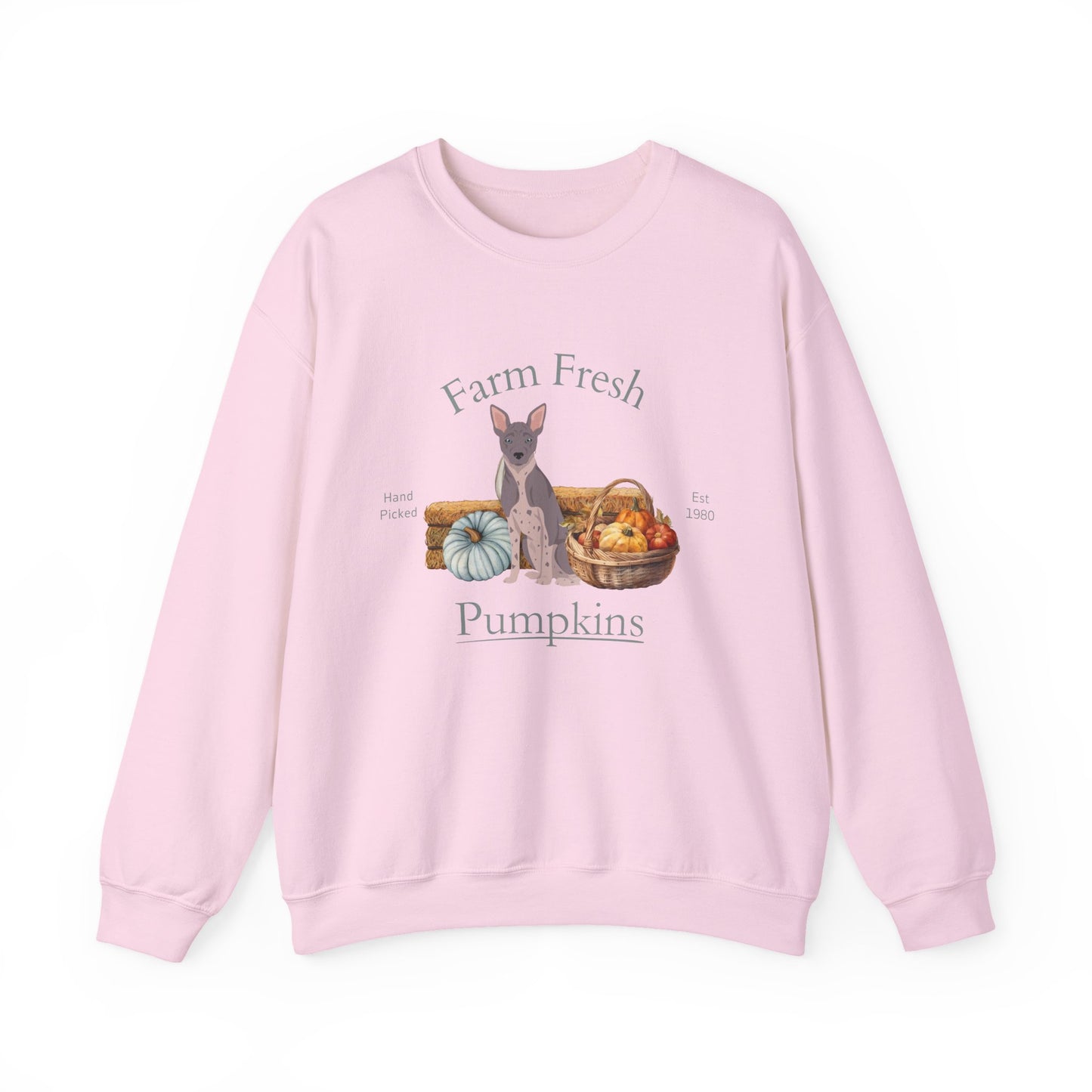 American Hairless Terrier Dog Fall Farm Fresh Unisex Heavy Blend Crewneck Sweatshirt