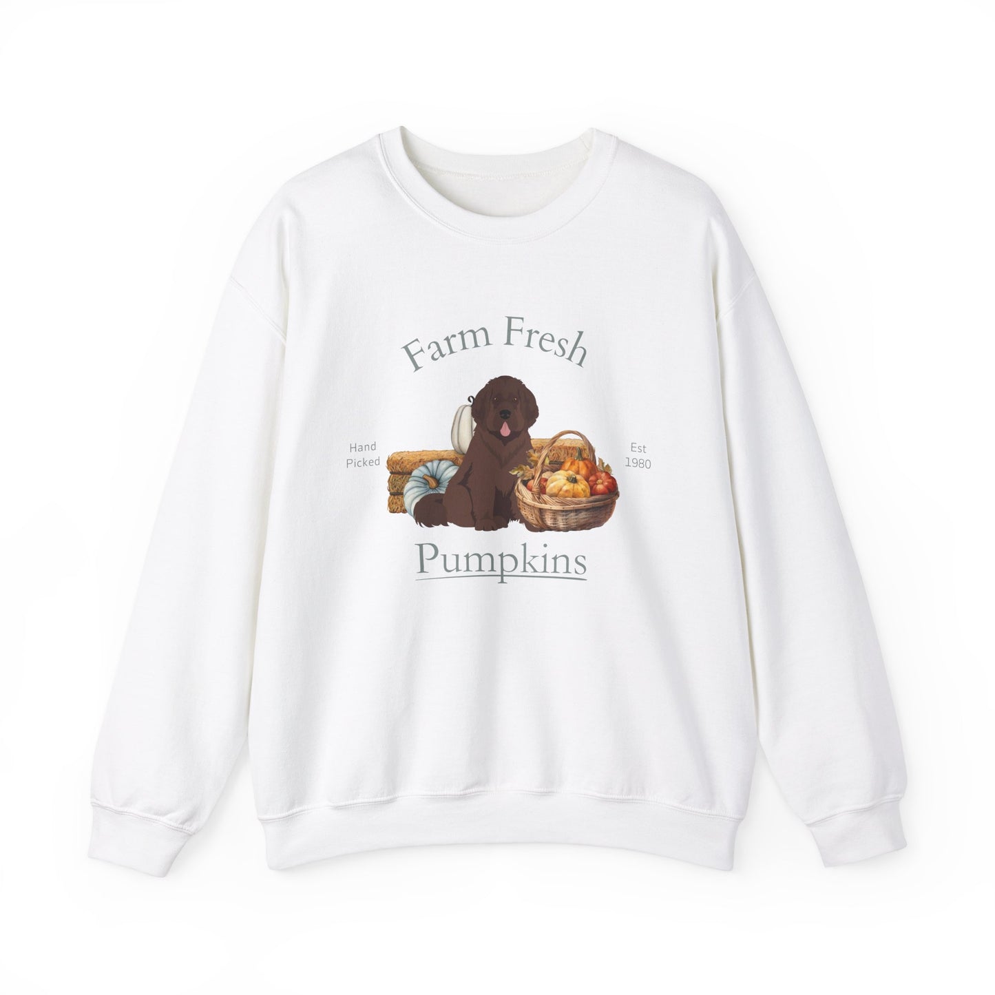 Newfoundland Dog Fall Halloween Unisex Heavy Blend Crewneck Sweatshirt