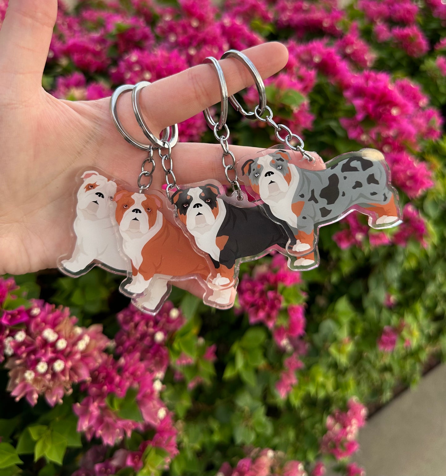 Bulldog Dog 2.5in Acrylic Keychain