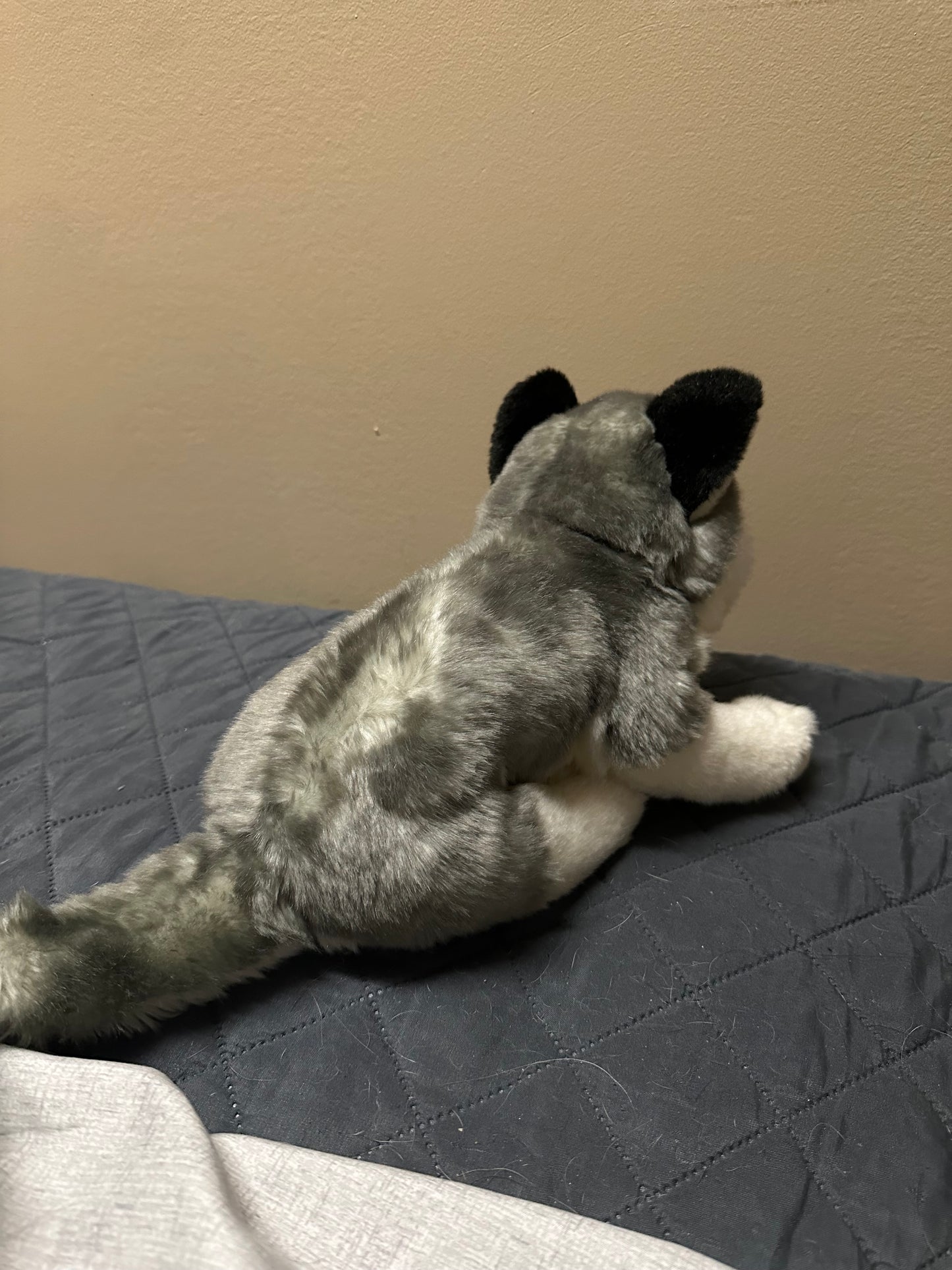 Anna Club Husky Dog Plush