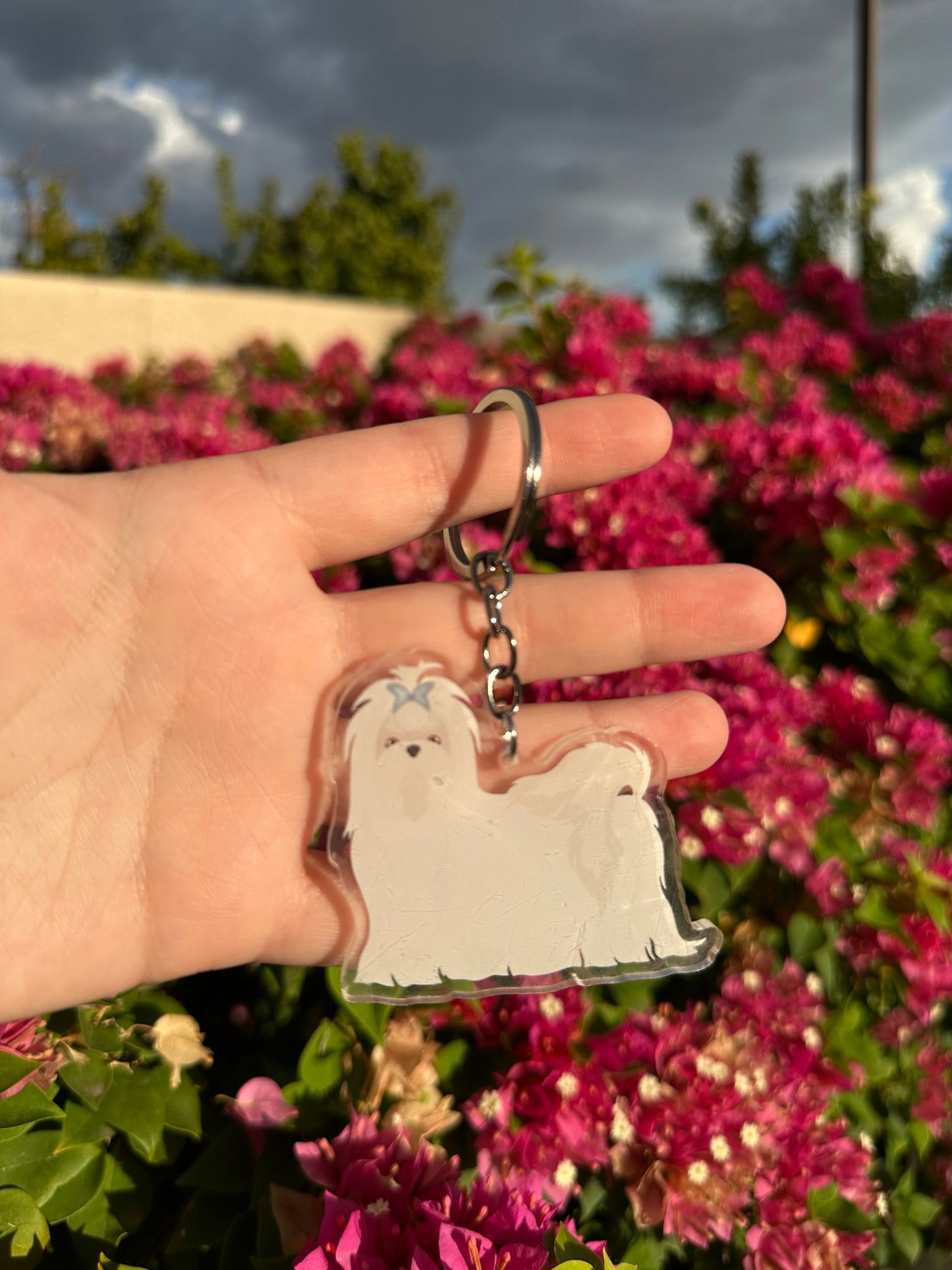 Maltese Dog 2.5in Acrylic Keychain