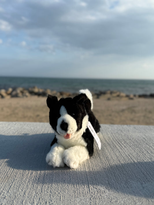 Bocchetta Border Collie Dog Plush 28cm