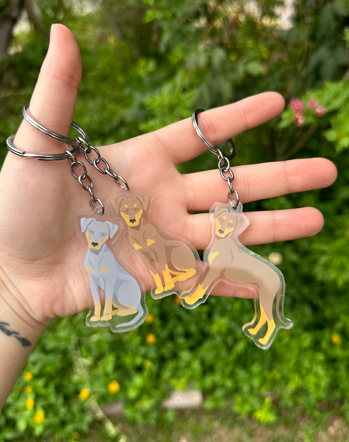 Blue Lacy Dog 2.5in Acrylic Keychain