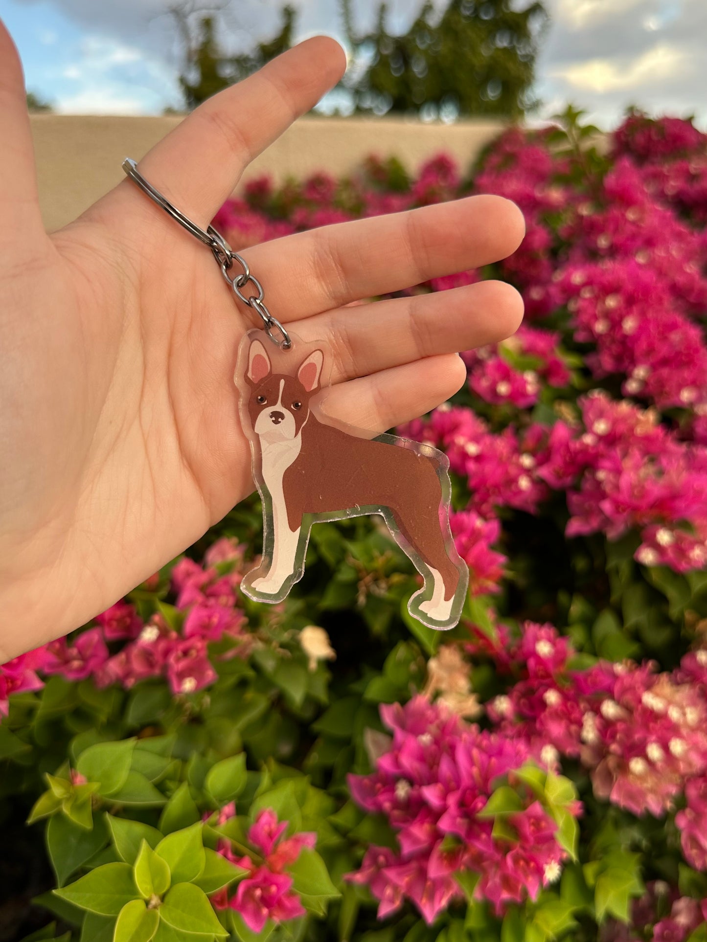 Boston Terrier Dog 2.5in Acrylic Keychain