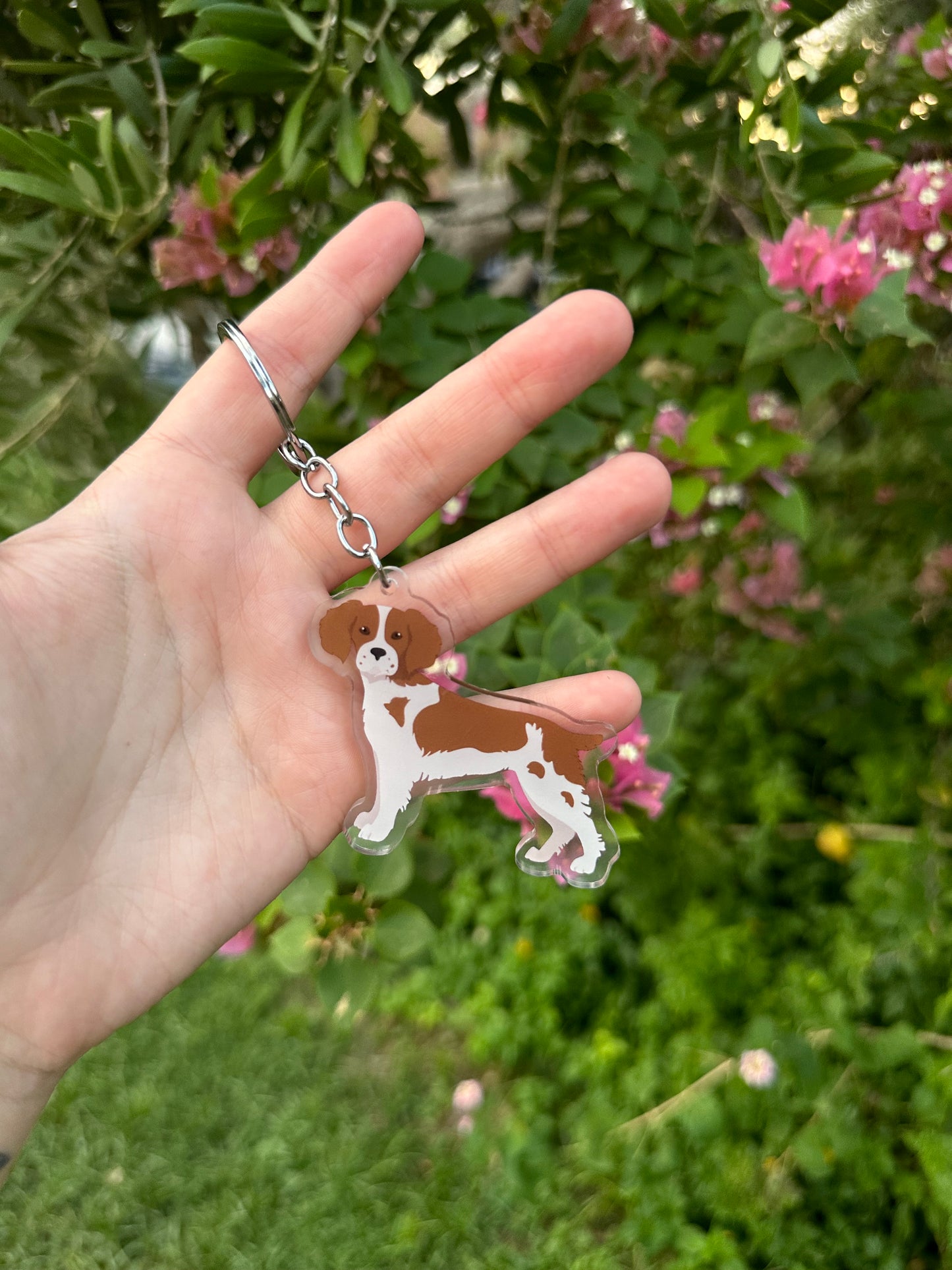 Brittany Dog 2.5in Acrylic Keychain