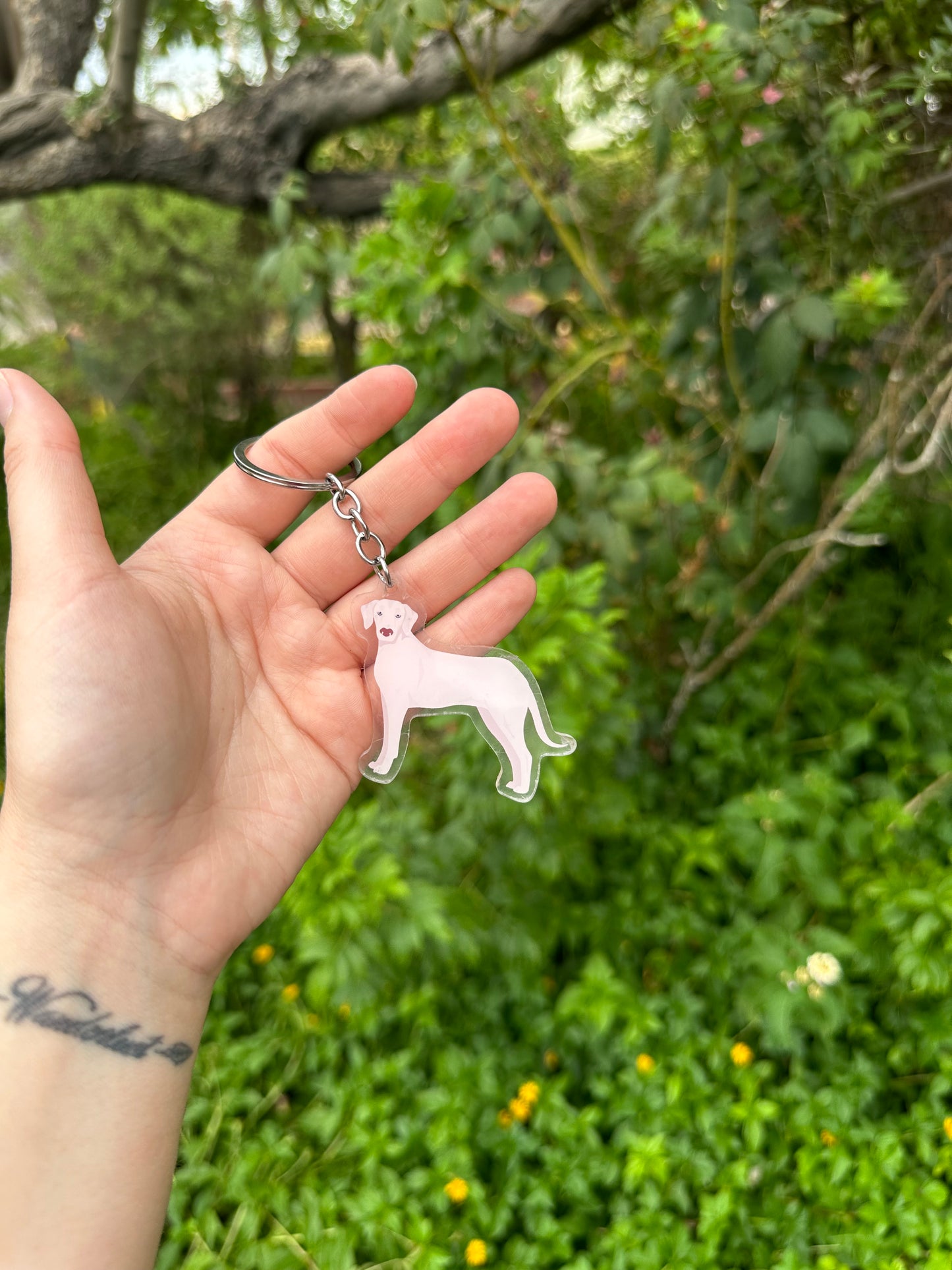 Rajapalayam Dog 2.5in Acrylic Keychain