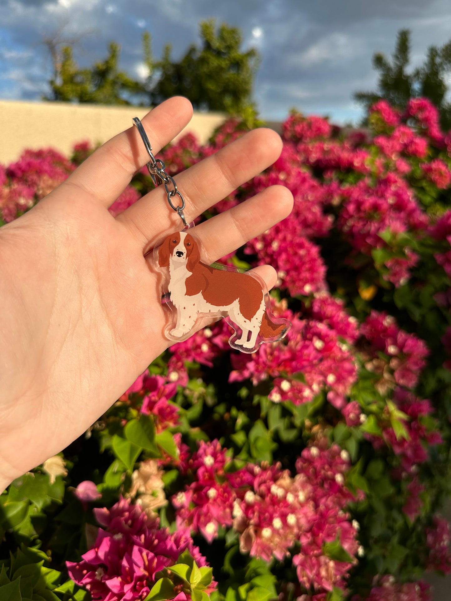 Welsh Springer Spaniel Dog 2.5in Acrylic Keychain
