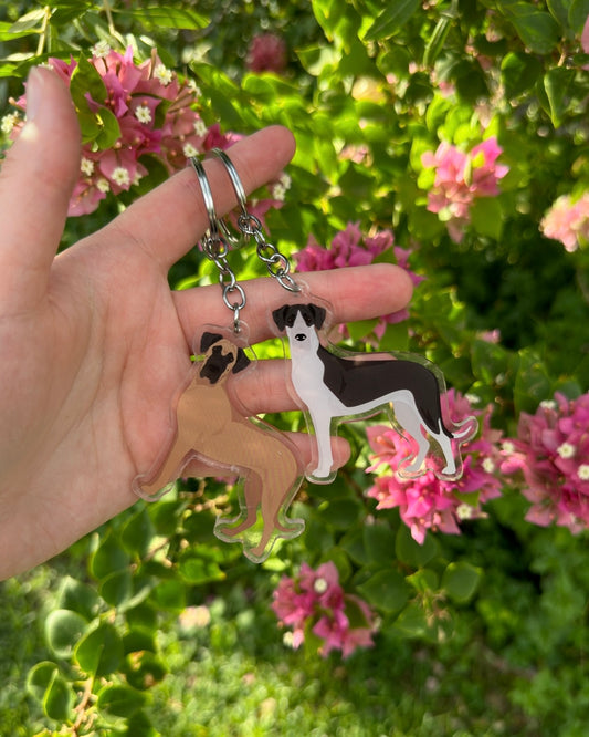 Great Dane Dog 2.5in Acrylic Keychain