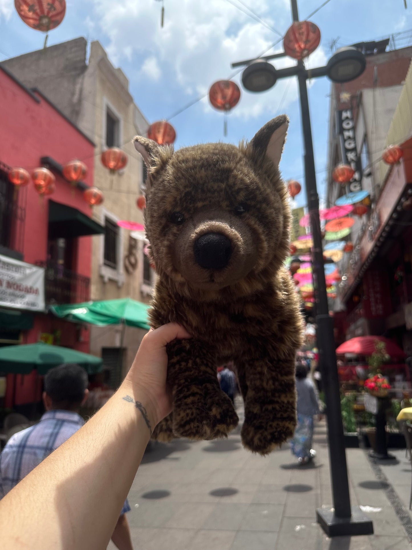 Zelda the Kai Ken Dog Plush 15in