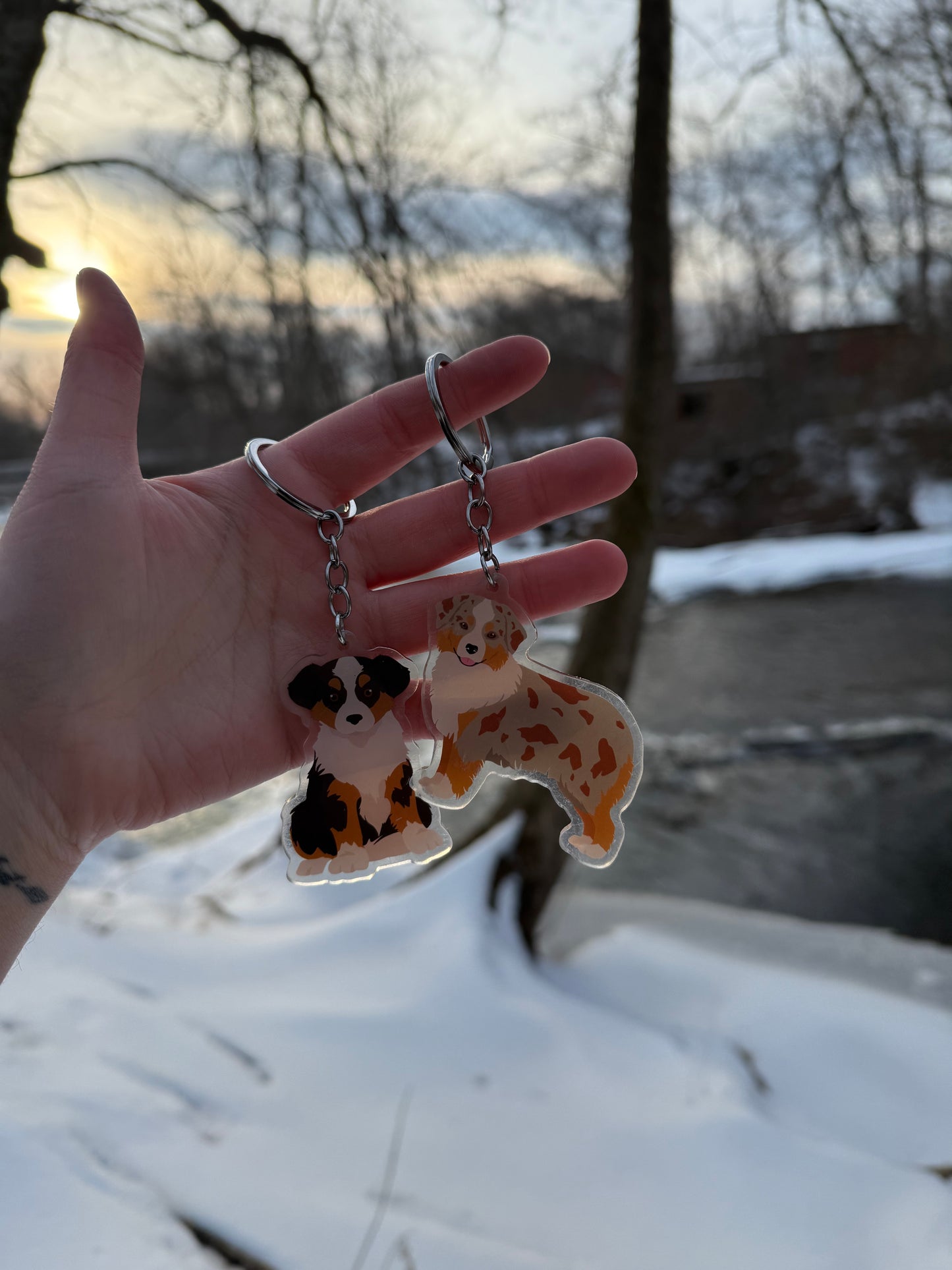 Miniature American Shepherd Dog 2.5in Acrylic Keychain