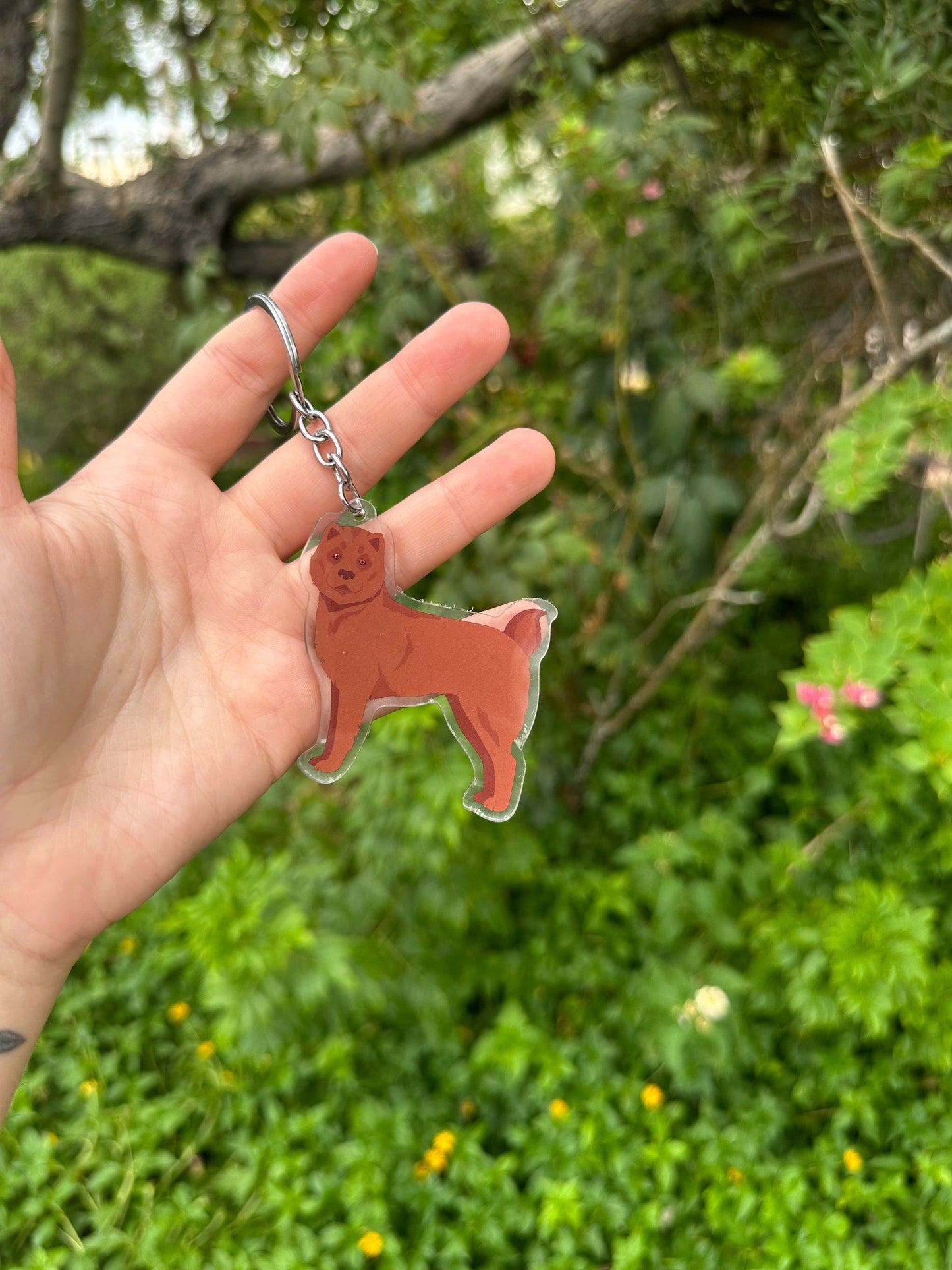Hmong Bobtail Dog 2.5in Acrylic Keychaini