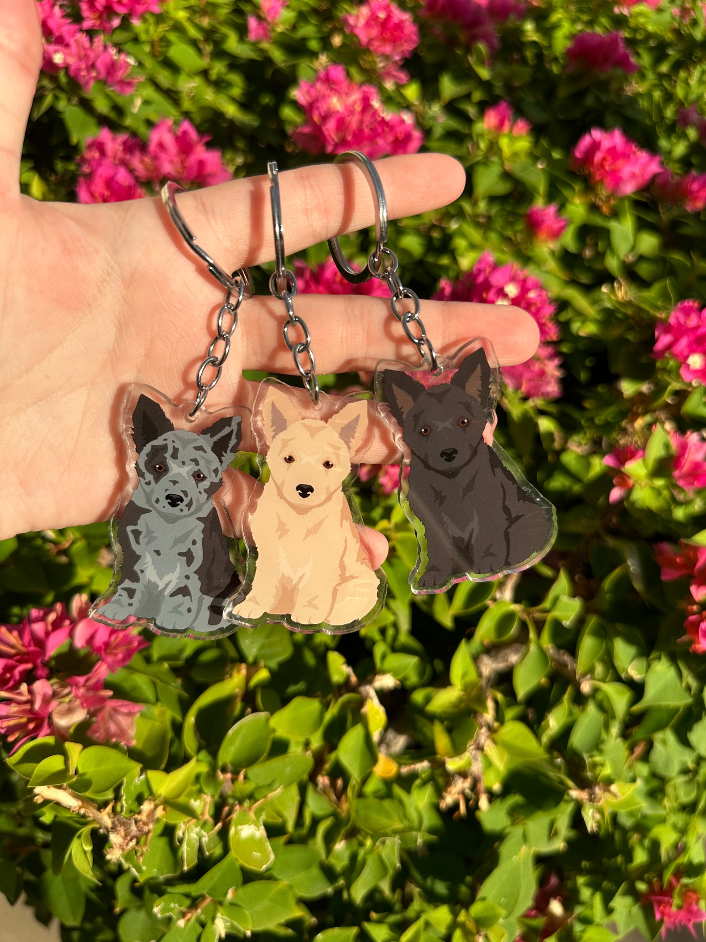 Mudi Dog 2.5in Acrylic Keychain