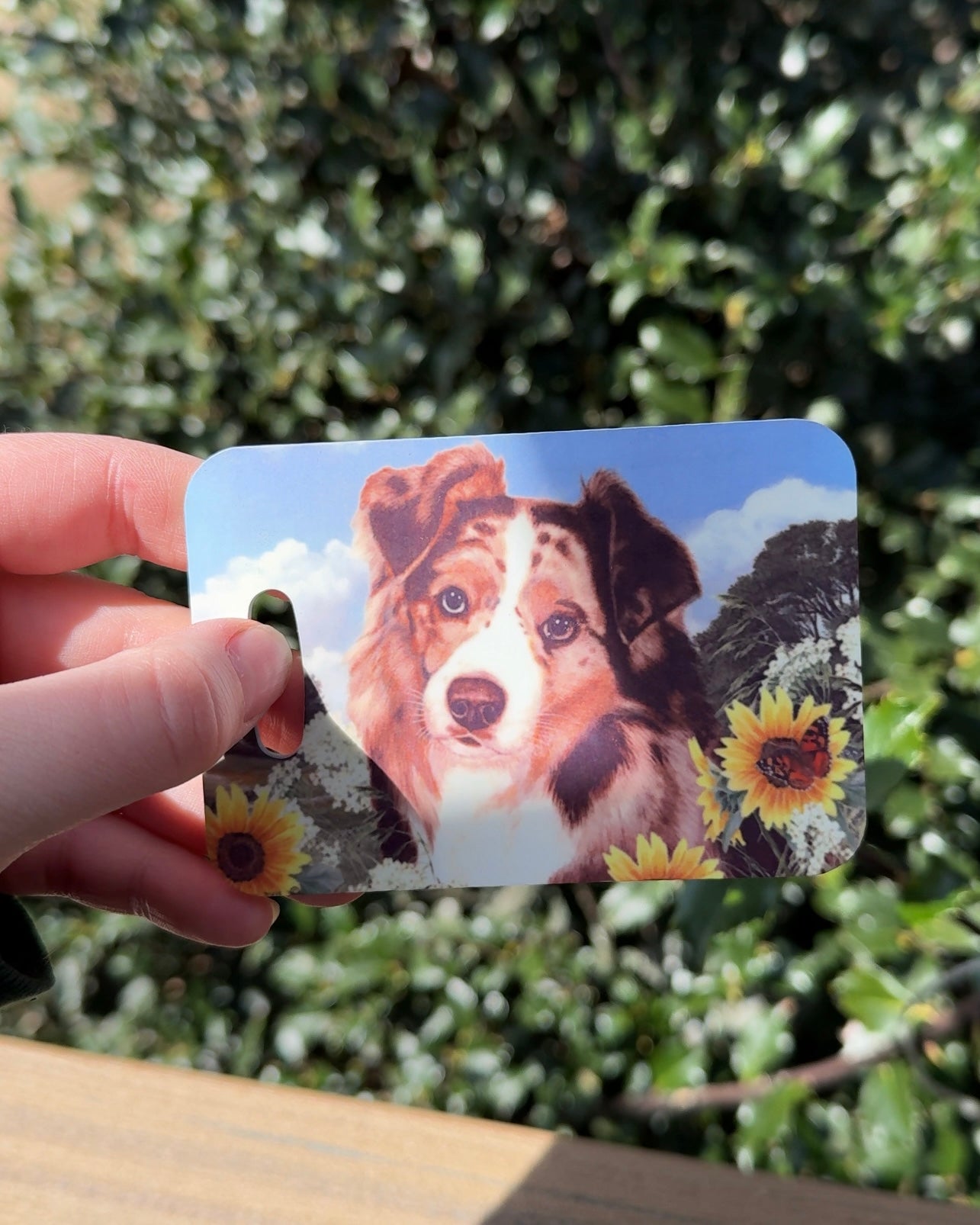 Auatralian Shepherd Dog Luggage Tag