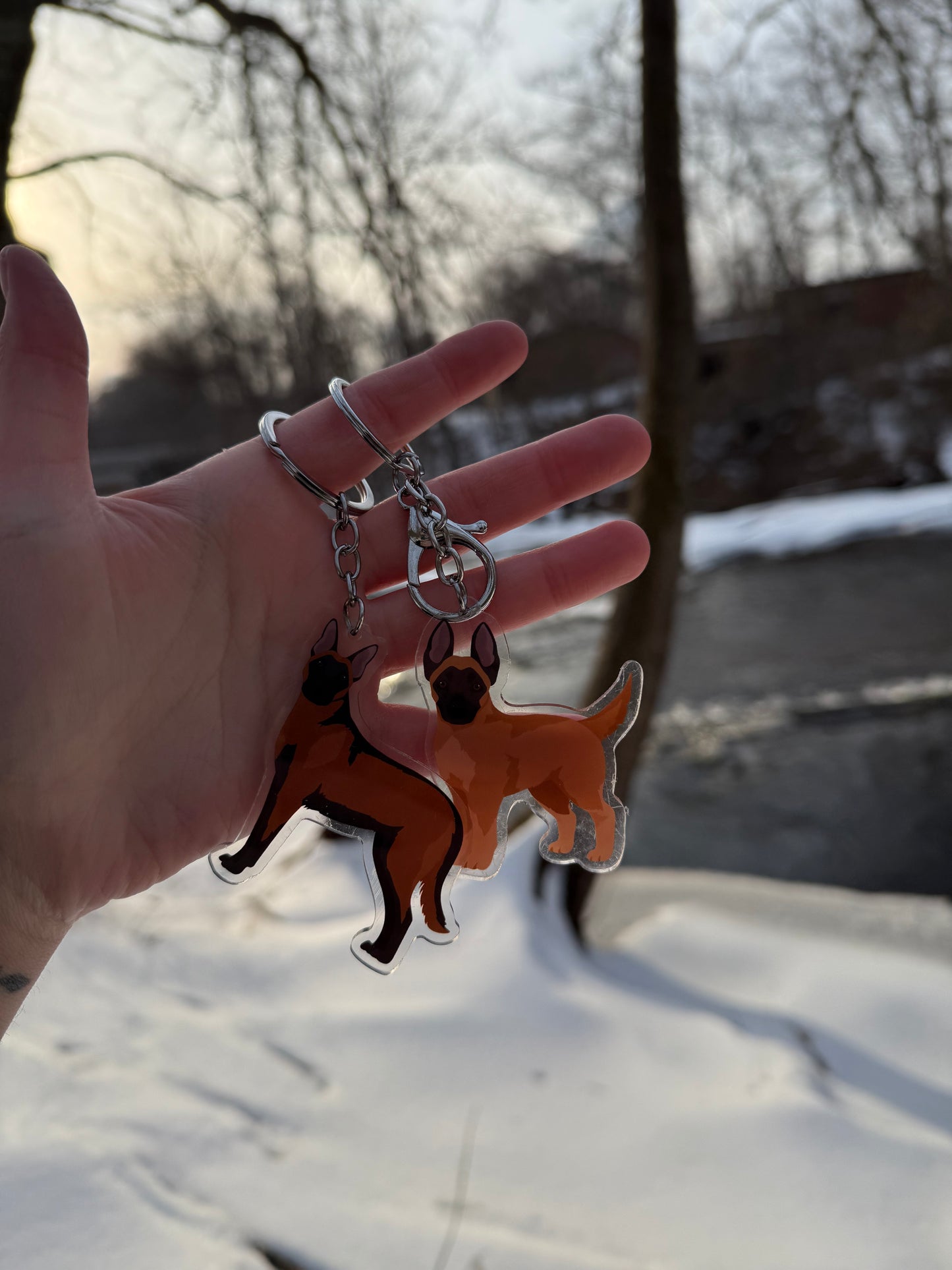 Belgian Malinois Dog 2.5in Acrylic Keychain