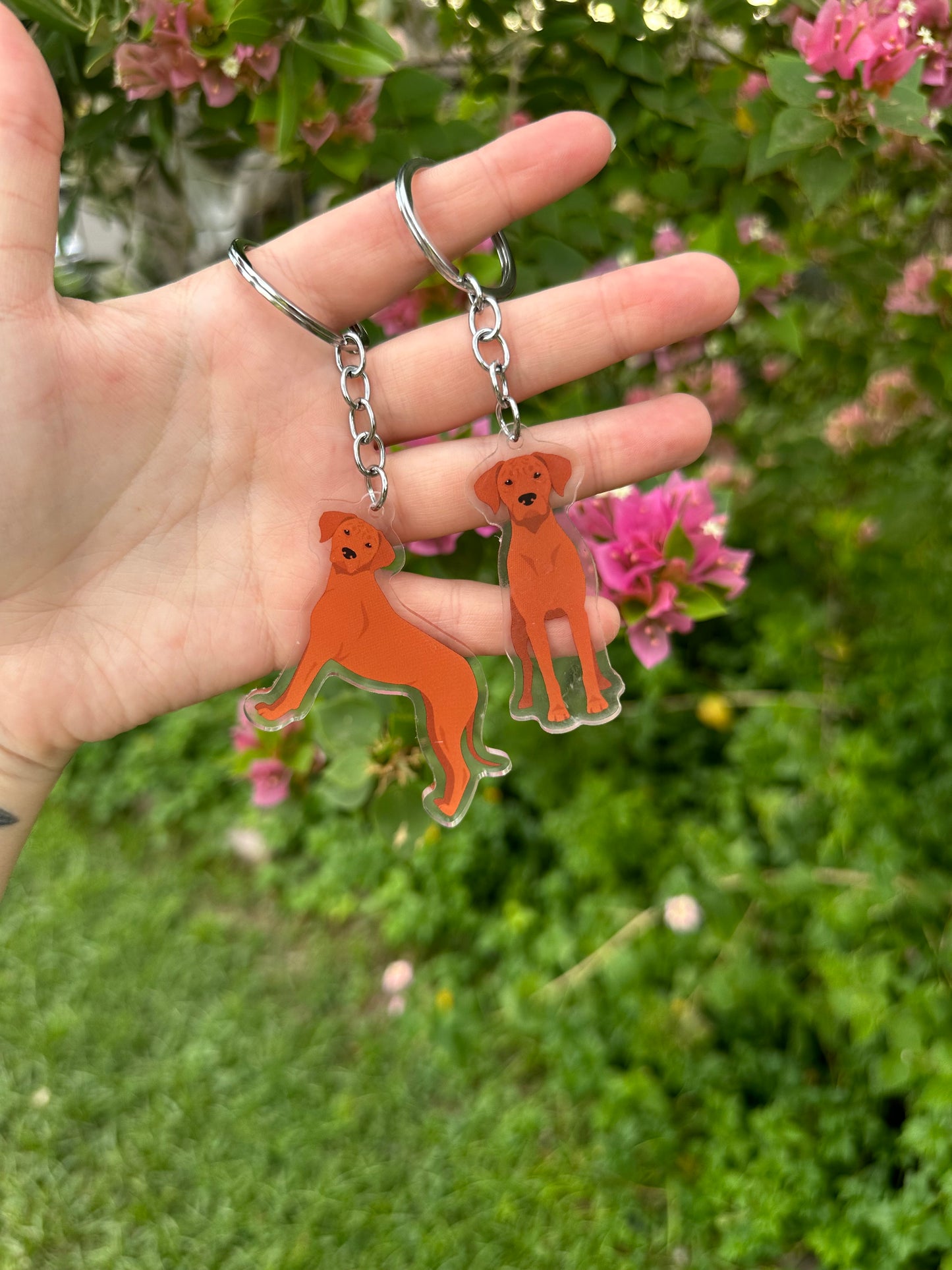 Rhodesian Ridgeback Dog 2.5in Acrylic Keychain