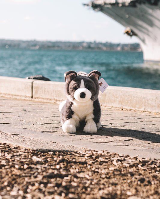 Atlas the Blue Border Collie Dog Plush 15in