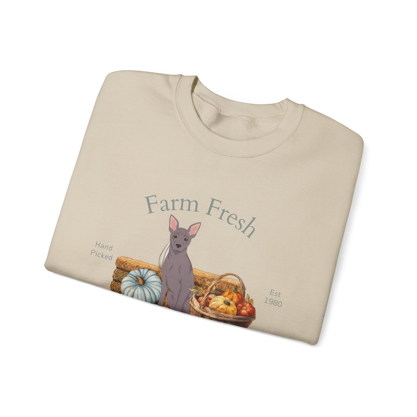 American Hairless Terrier Dog Fall Farm Fresh Unisex Heavy Blend Crewneck Sweatshirt