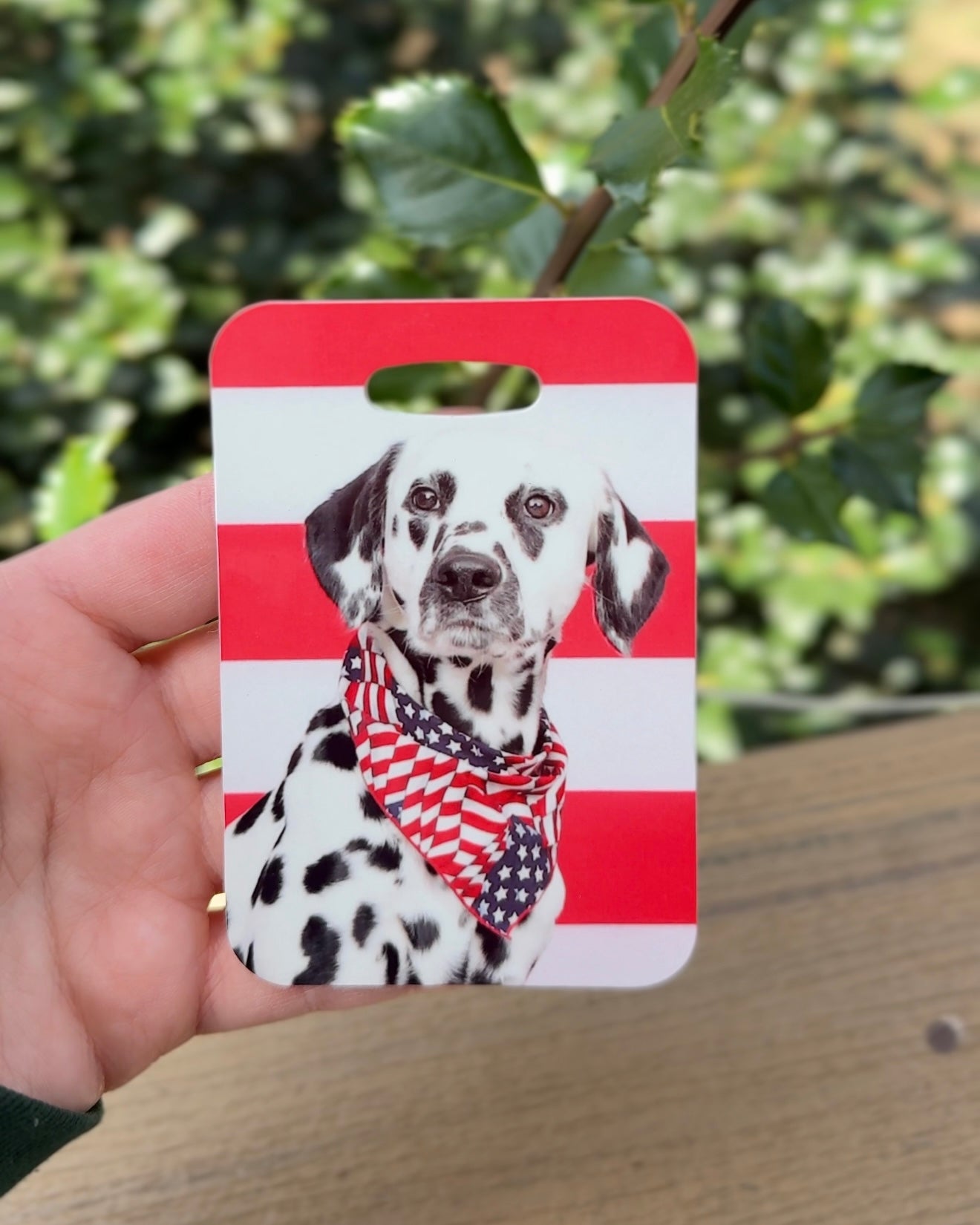 Dalmatian Dog Luggage Tag