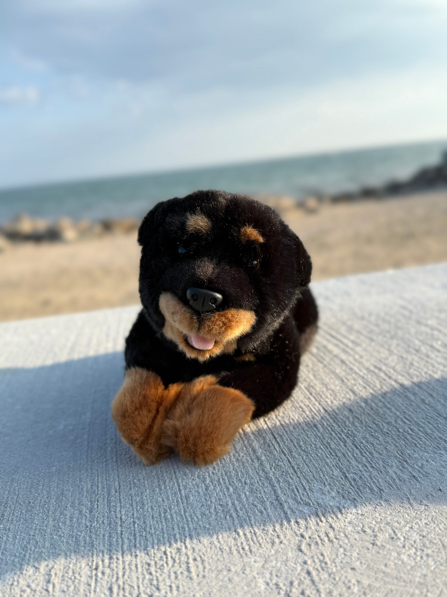 Bocchetta Rottweiler Dog Plush 28cm