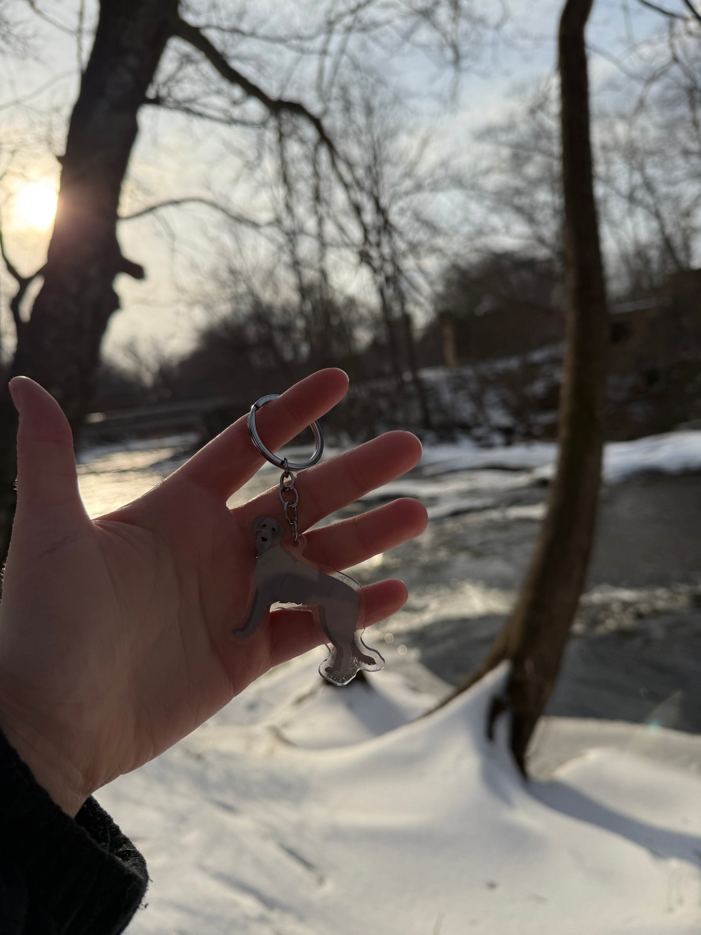 Irish Wolfhound Dog 2.5in Acrylic Keychain