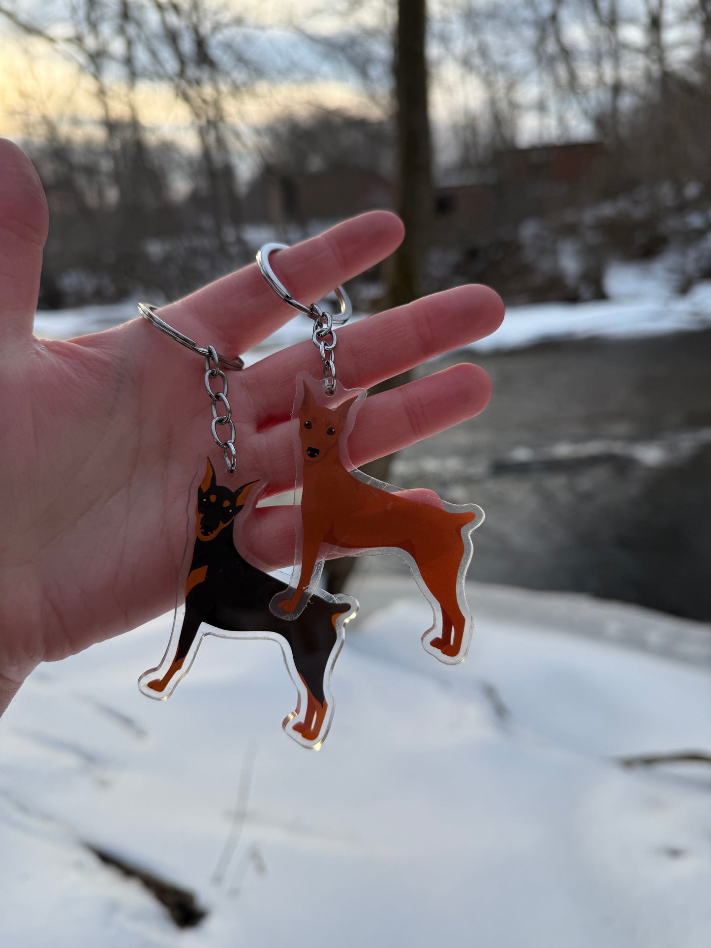 German Pinscher Dog 2.5in Acrylic Keychain