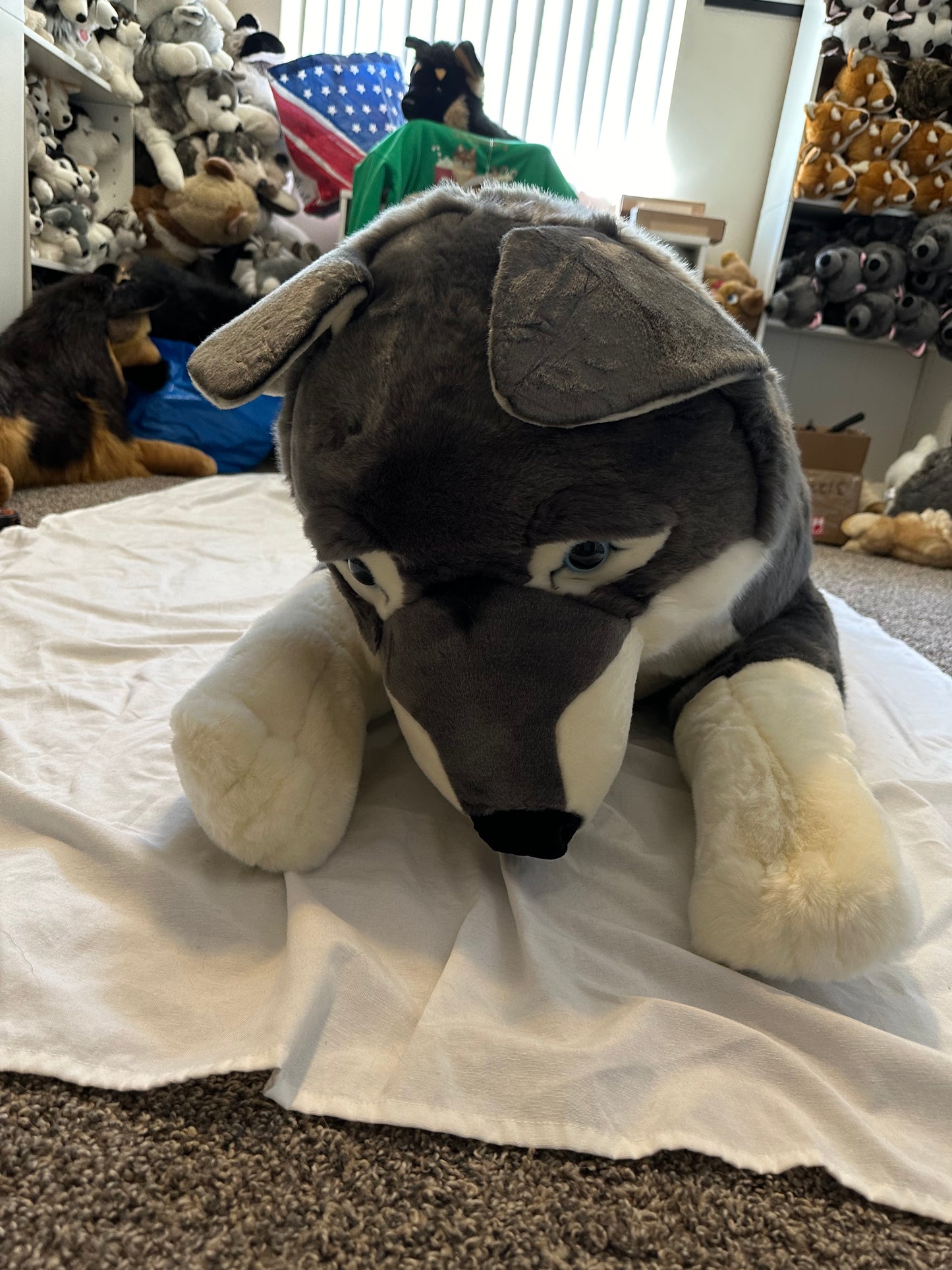 Quil the Wolf Dog Plush 72in *deposit*