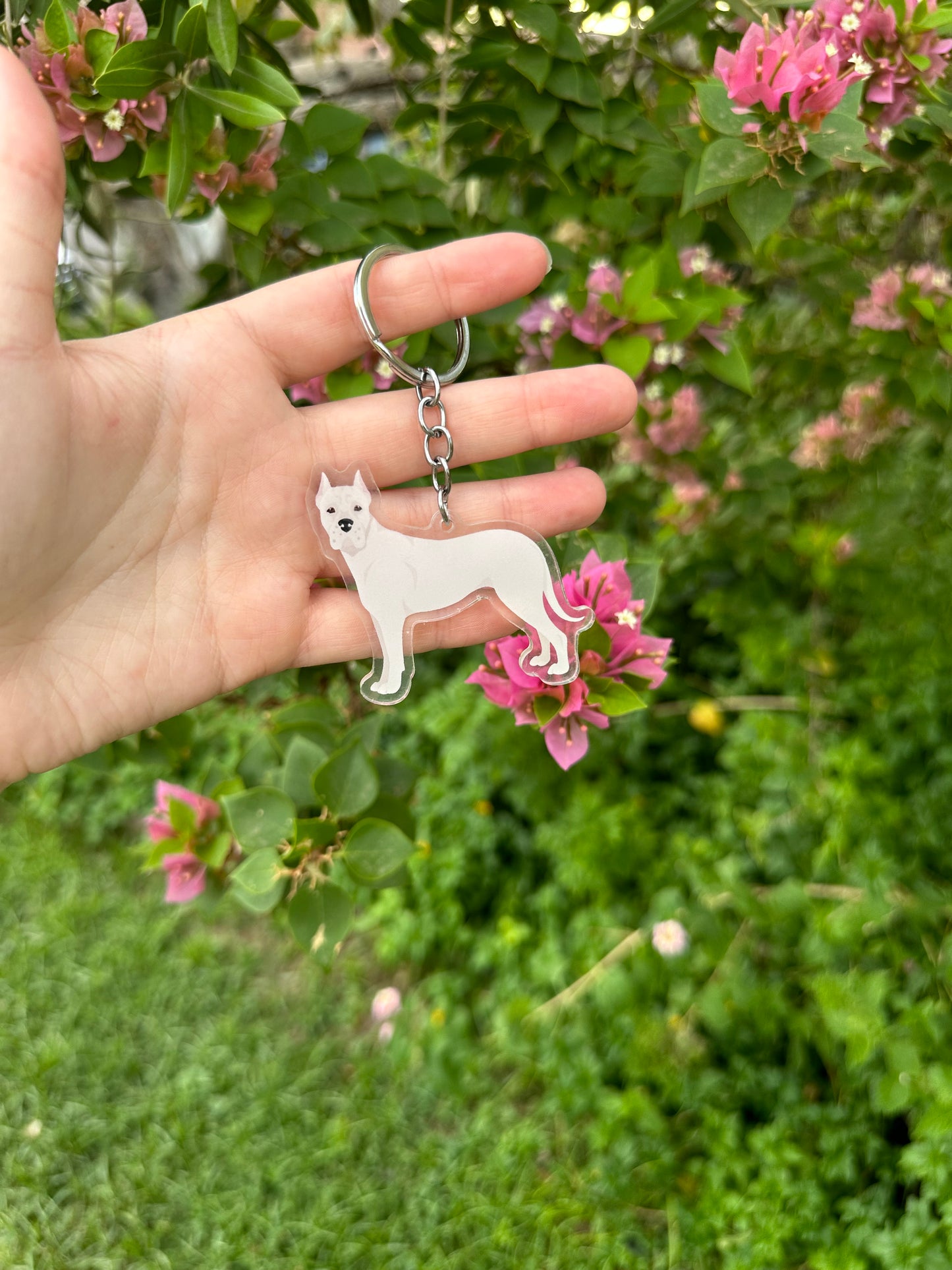 Dogo Argentino Dog 2.5in Acrylic Keychaini