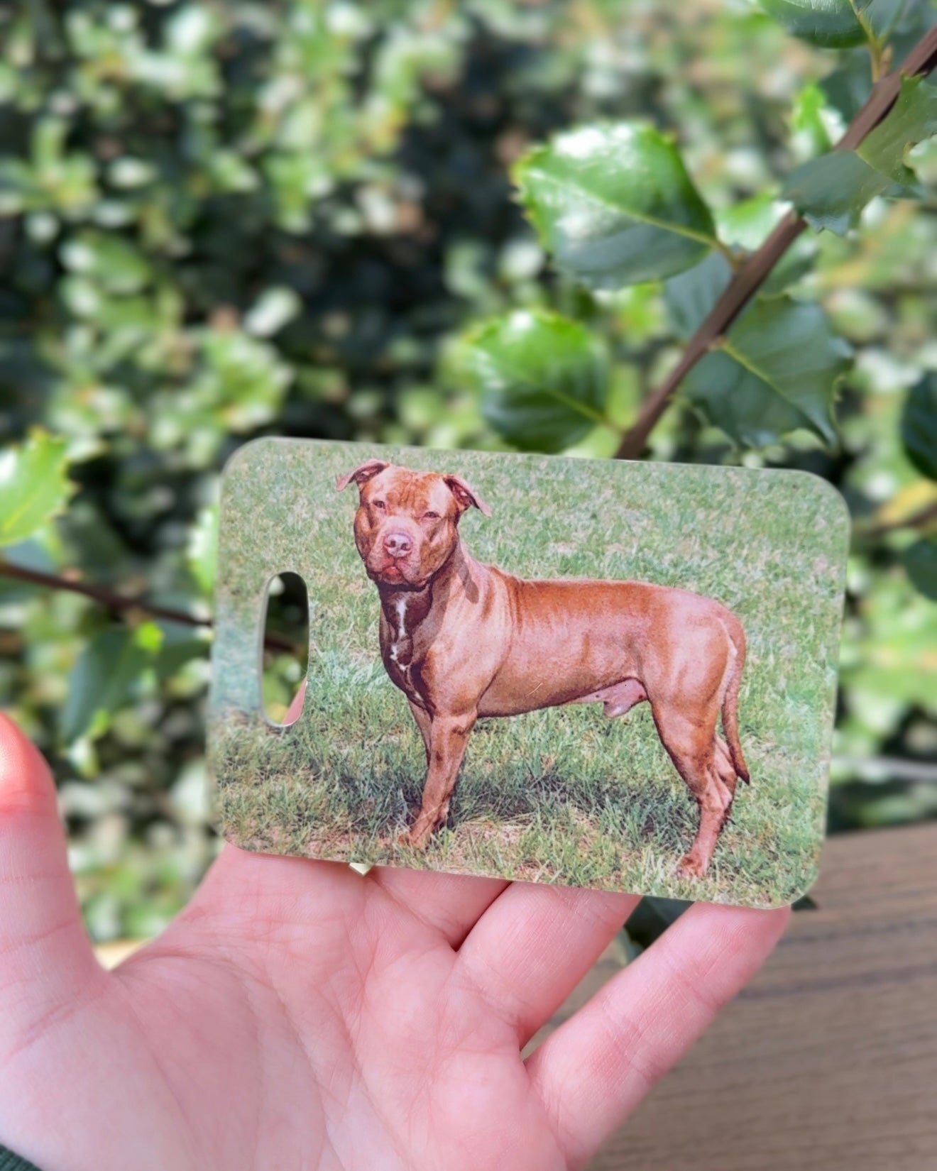 American Pitbull Terrier Dog Luggage Tag