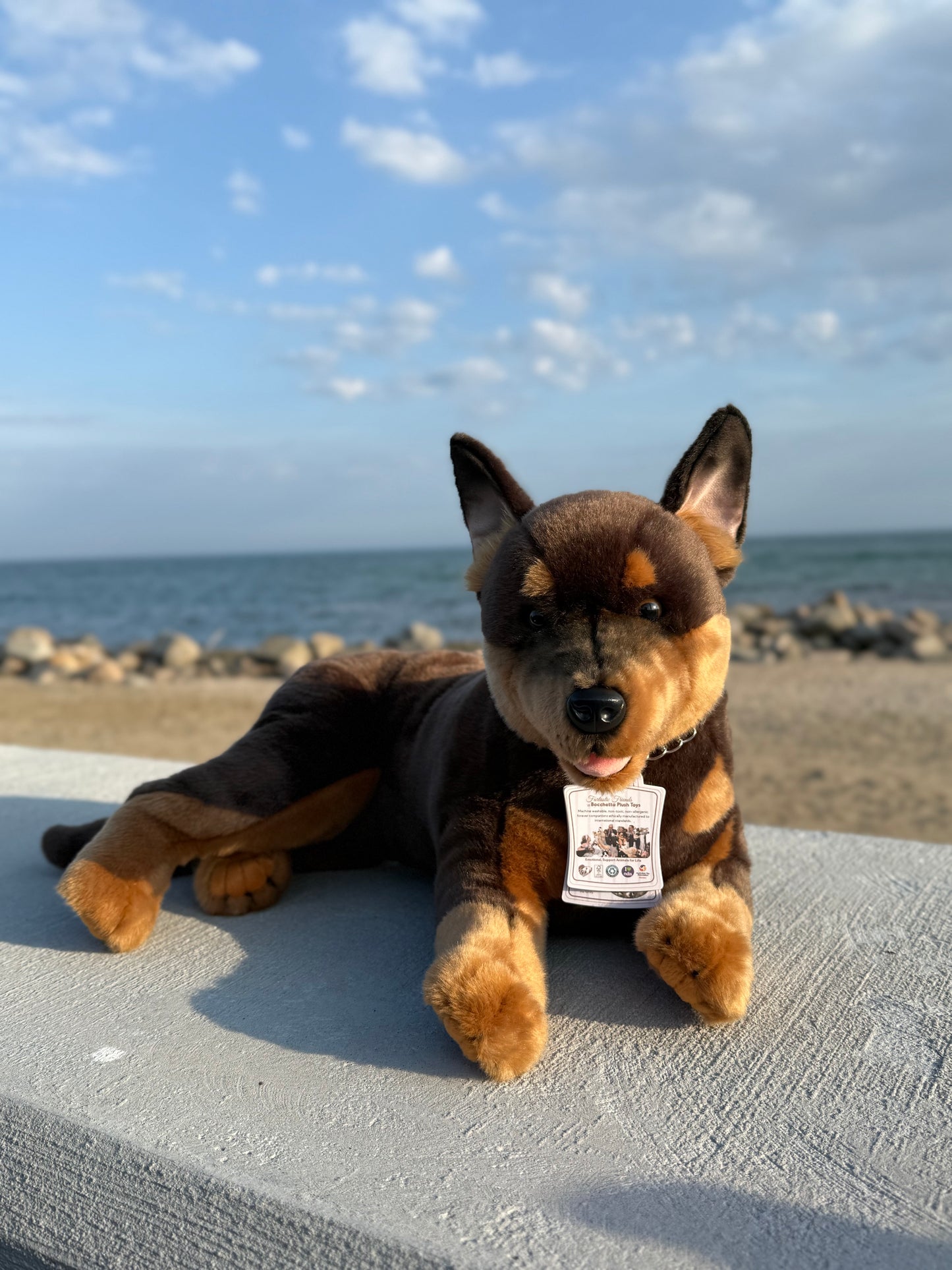 Bocchetta Australian Kelpie Dog Plush 62cm