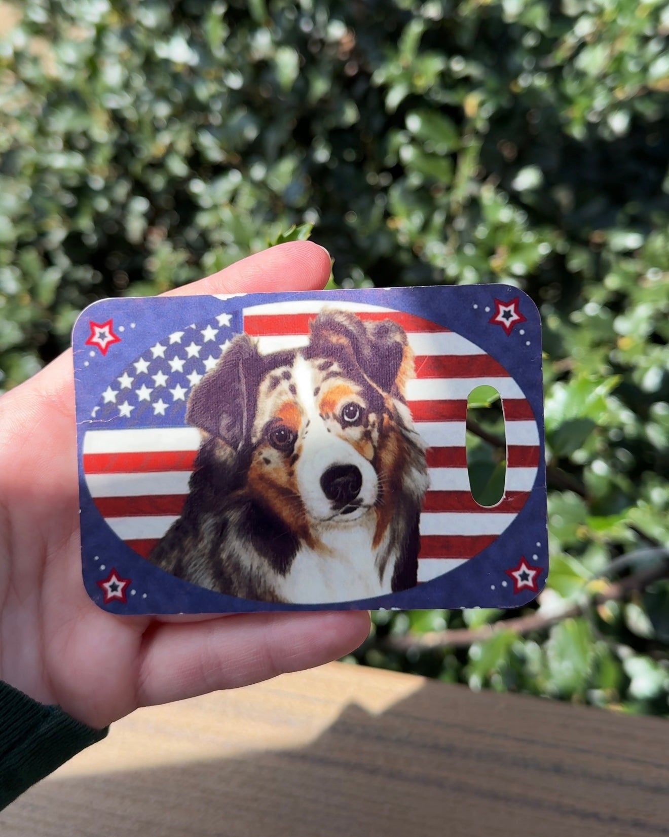 Australian Shepherd Dog Luggage Taga