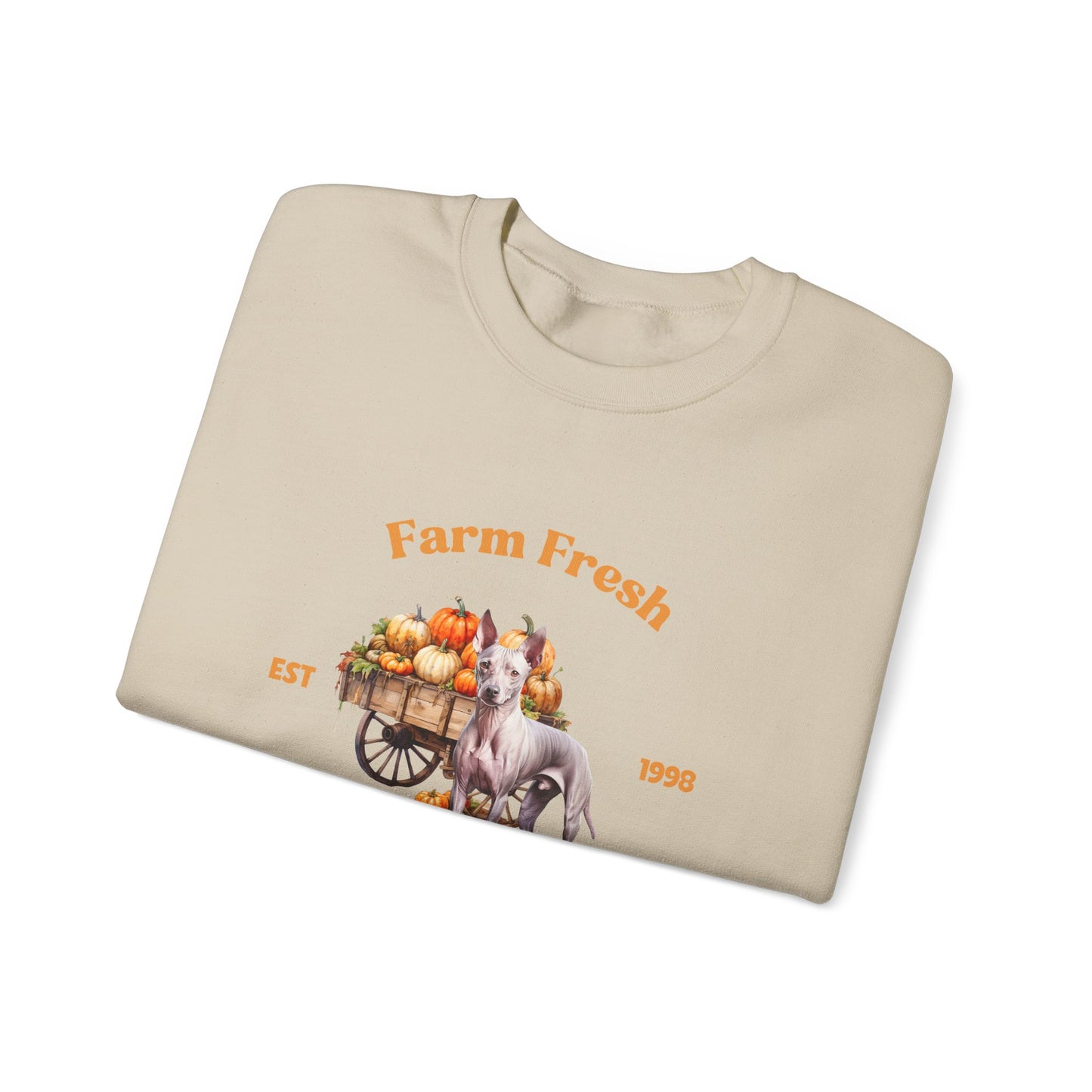 American Hairless Terrier Dog Fall Unisex Heavy Blend Crewneck Sweatshirt