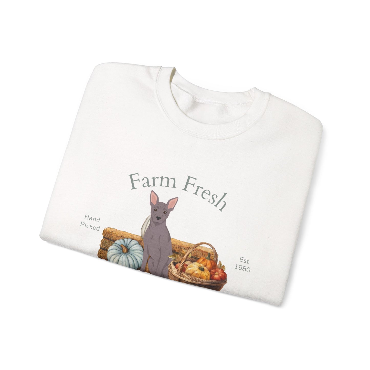American Hairless Terrier Dog Fall Farm Fresh Unisex Heavy Blend Crewneck Sweatshirt