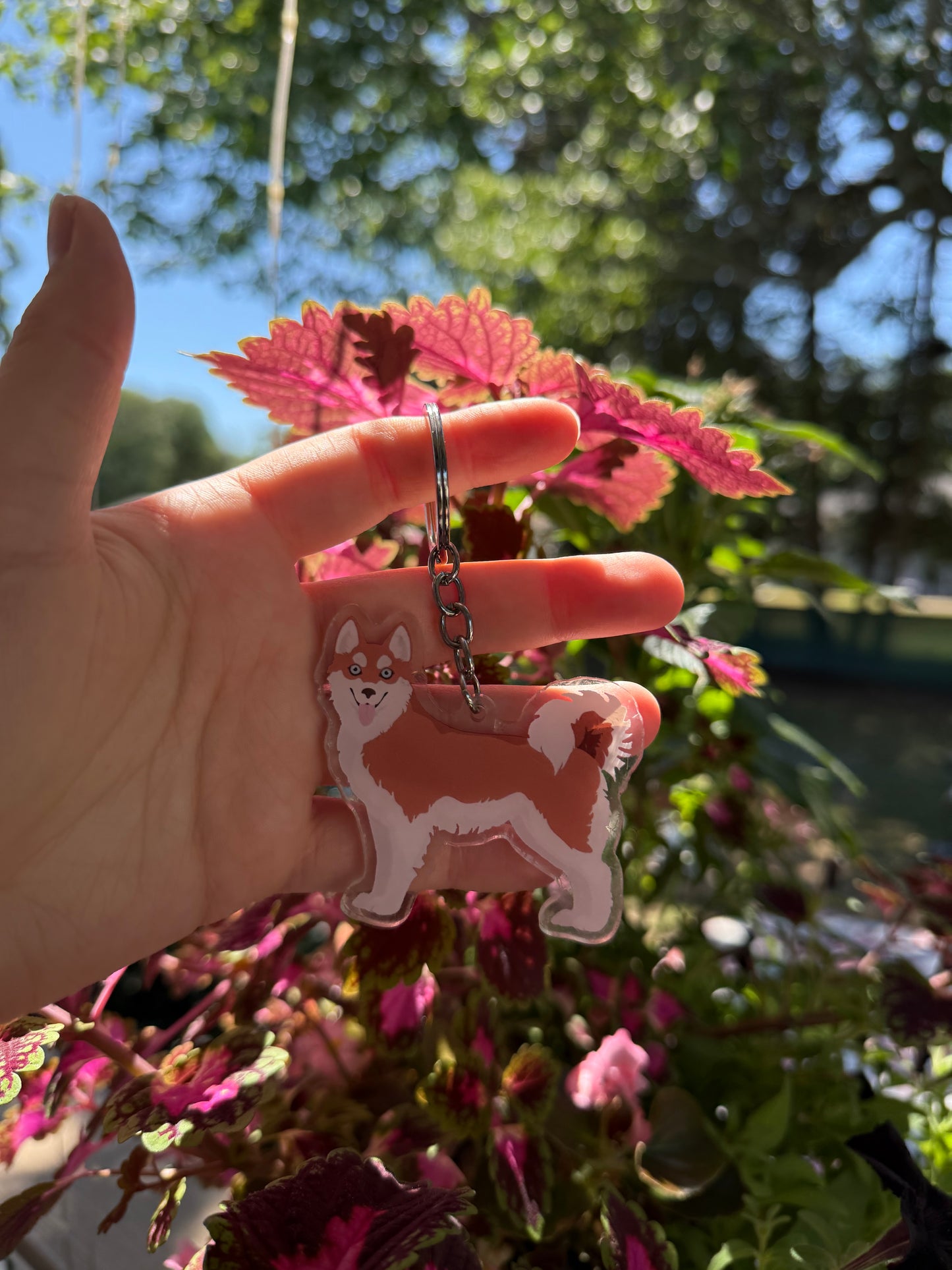 Alaskan Klee Kai Dog 2.5in Acrylic Keychain